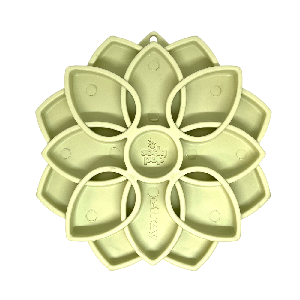 Mandala Softie eTray Shallow Slow Feeder Dog Bowl with Suction Cups | USA Made