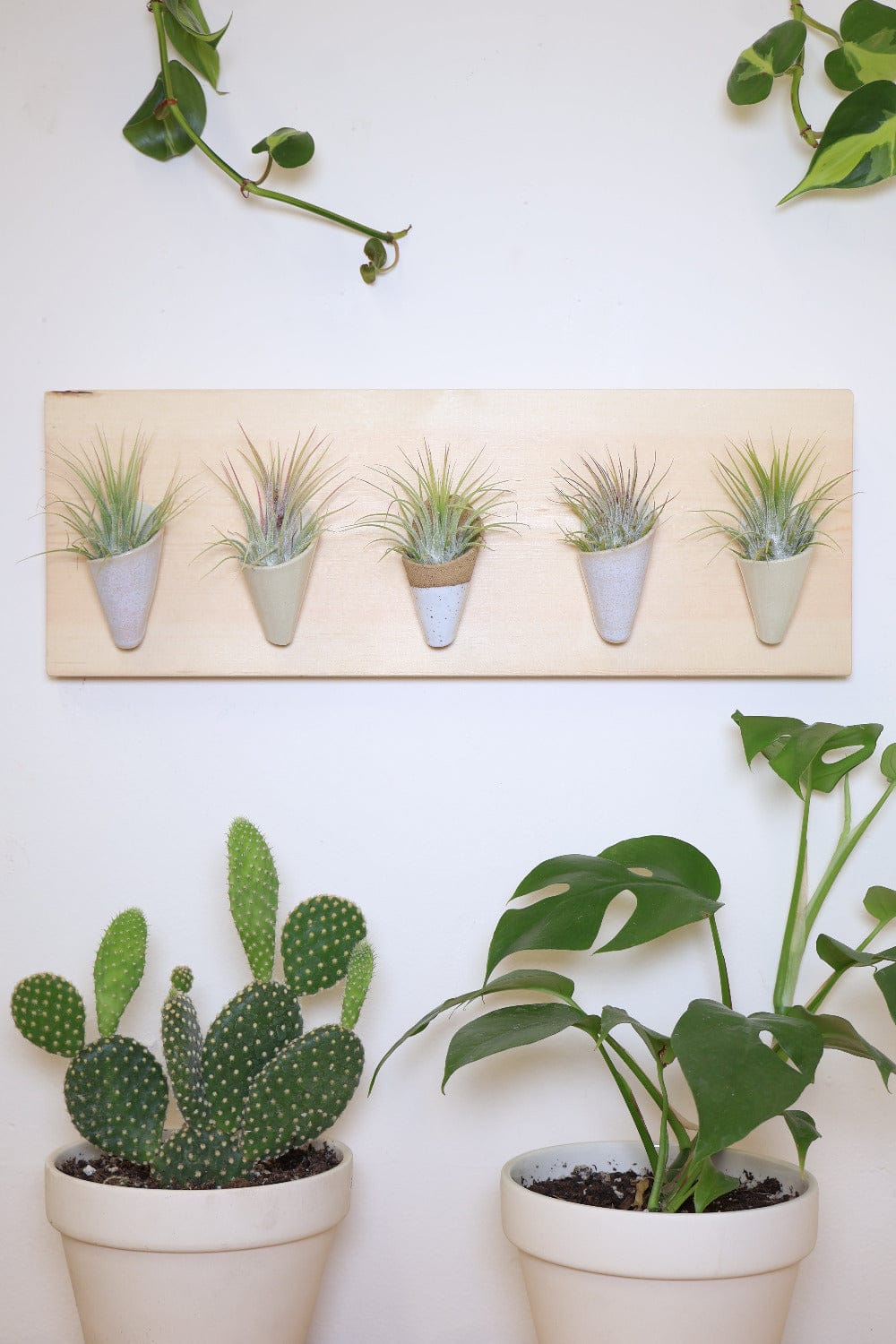 Carter + Rose Carter + Rose, Horizontal Wall Planter