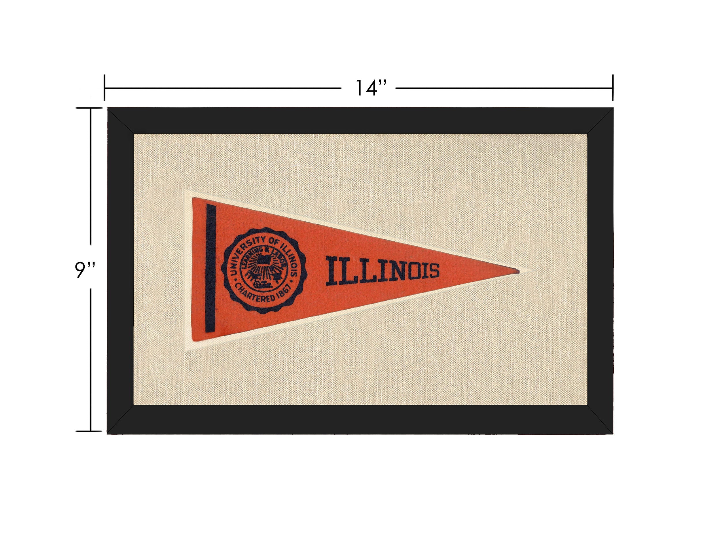 Vintage University of Illinois Pennant