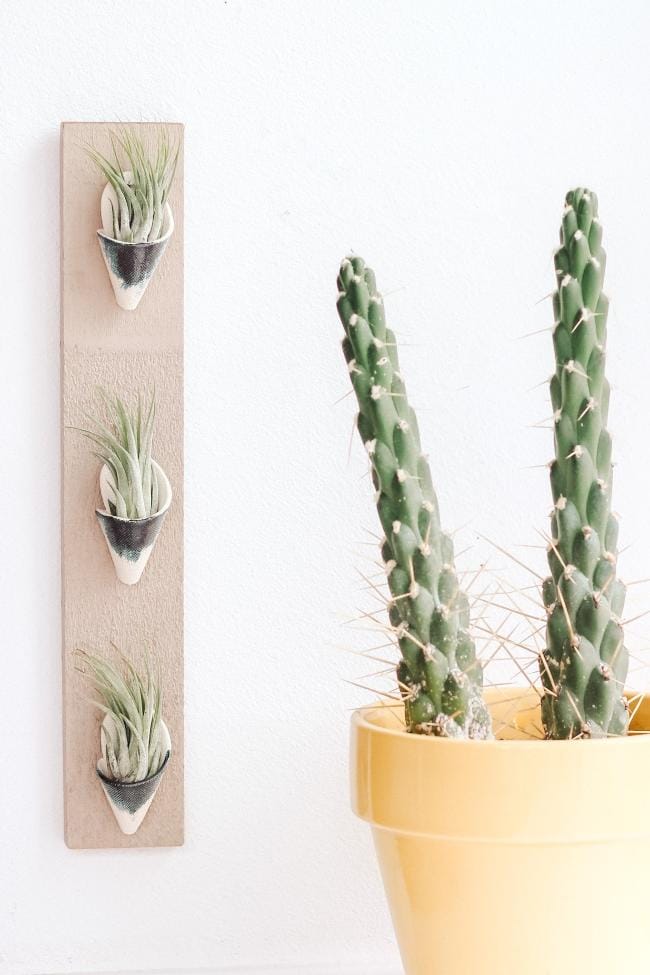 Carter + Rose Indigo / With Plant Triple Ceramic Wall Planter