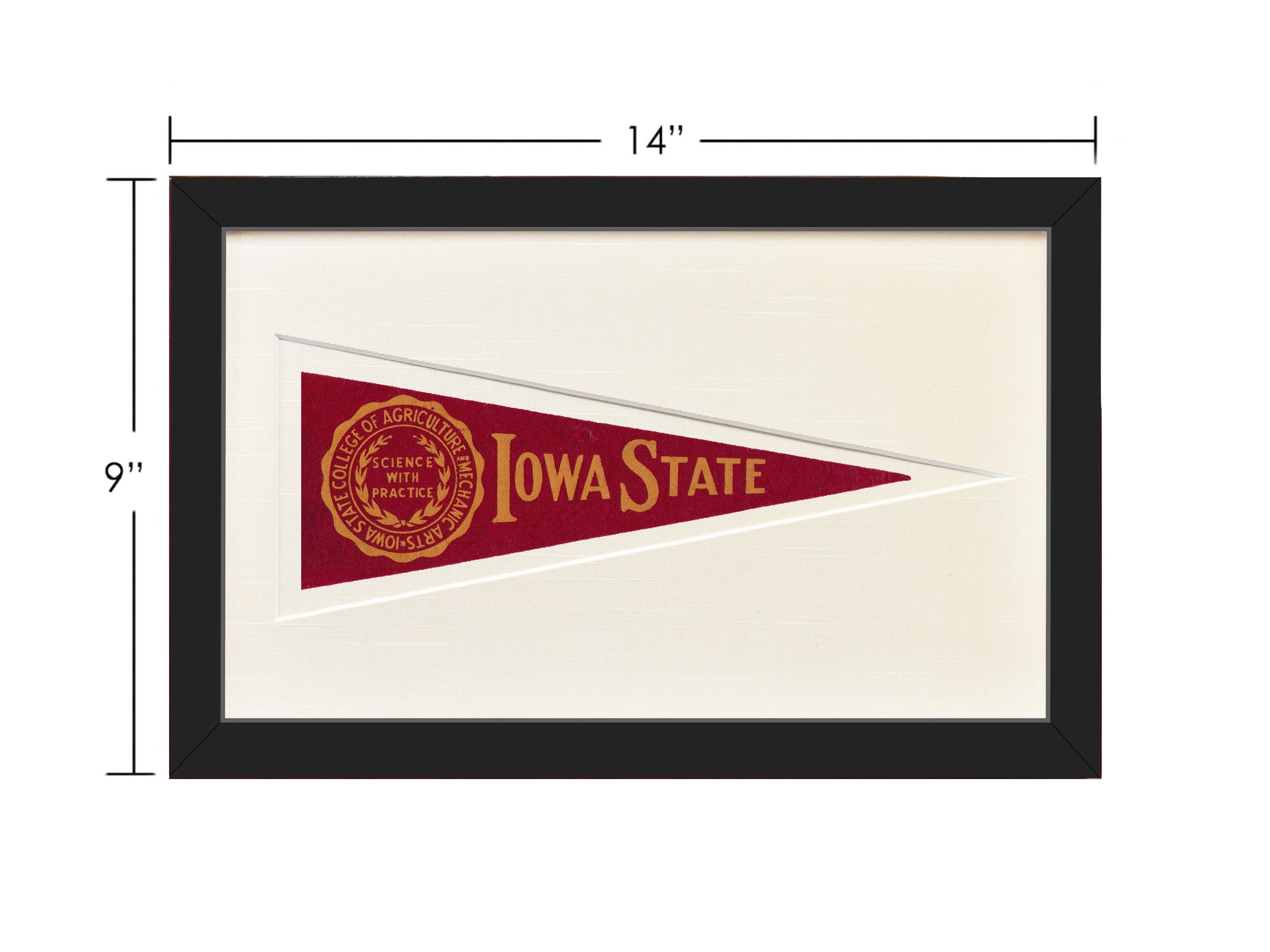 Vintage Iowa State Hormel Pennant - My American Goods