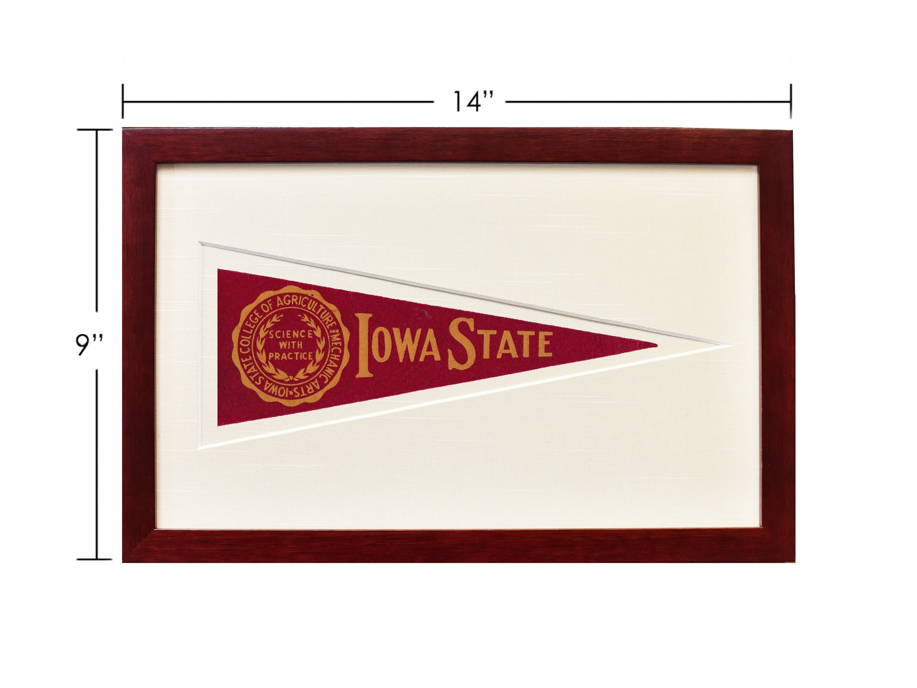 Vintage Iowa State Hormel Pennant