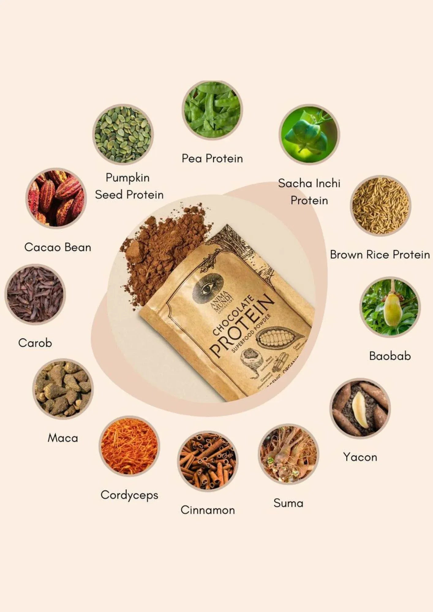 Anima Mundi Protein CHOCOLATE PROTEIN | Superfood Powder
