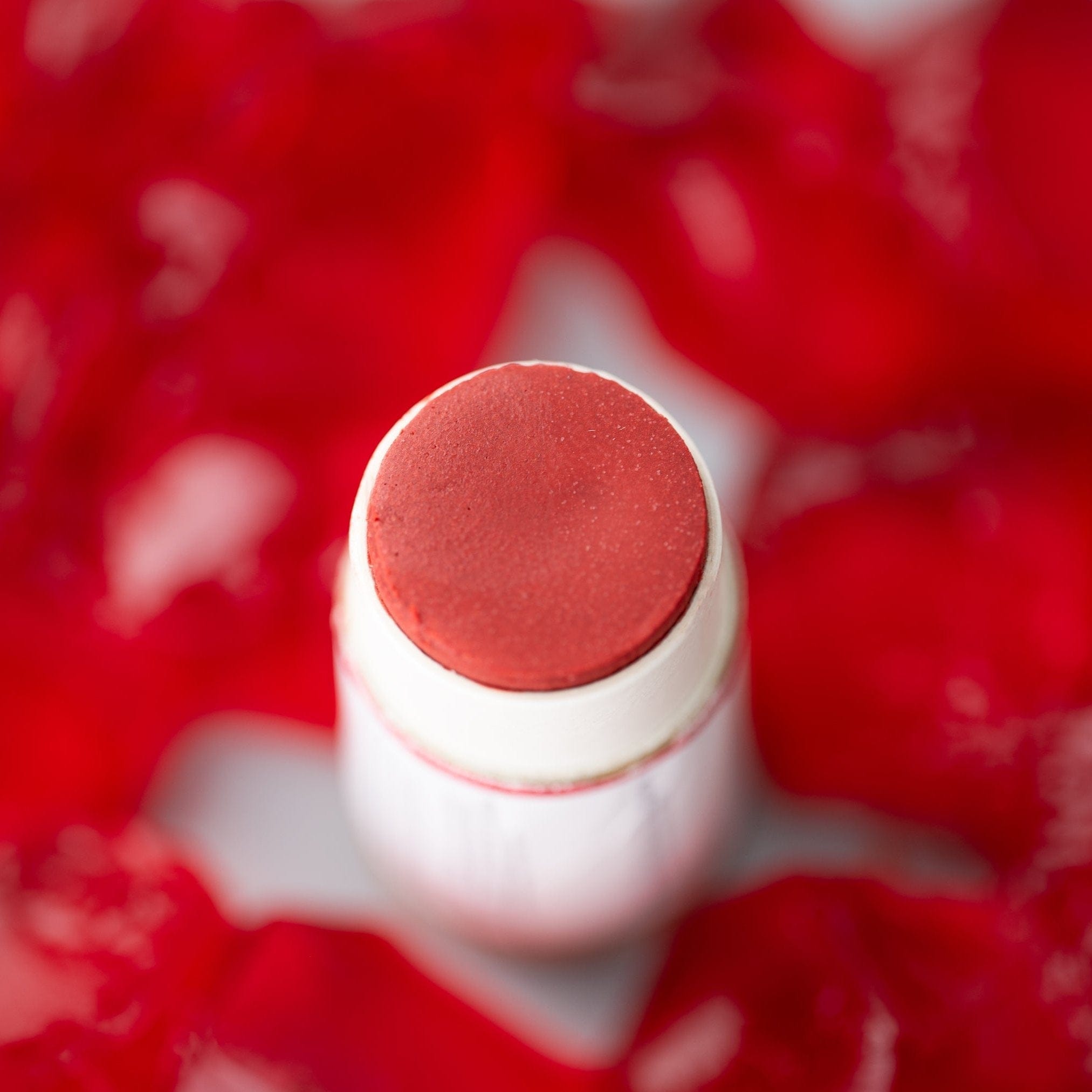 J&L Naturals Lip Care Tinted Lip Balm Duo (2-Pack)