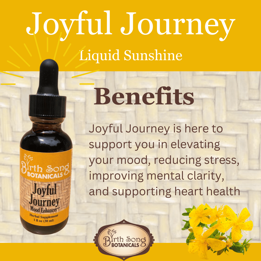 Birth Song Botanicals Co. Tinctures Joyful Journey Herbal Tincture – Botanical Blend with St. John’s Wort, Hawthorn & Lemon Balm (1 oz)