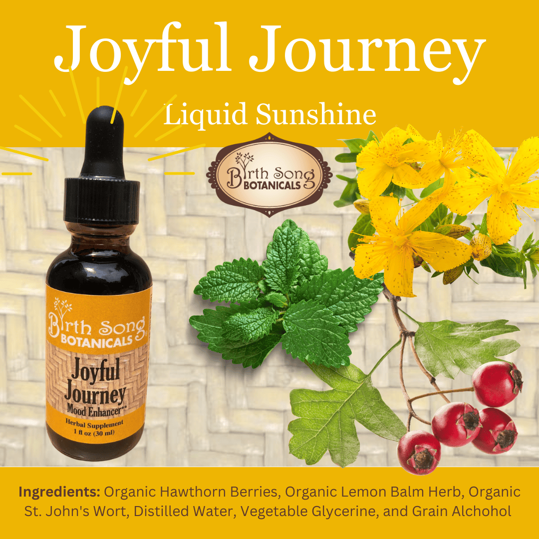 Birth Song Botanicals Co. Tinctures Joyful Journey Herbal Tincture – Botanical Blend with St. John’s Wort, Hawthorn & Lemon Balm (1 oz)