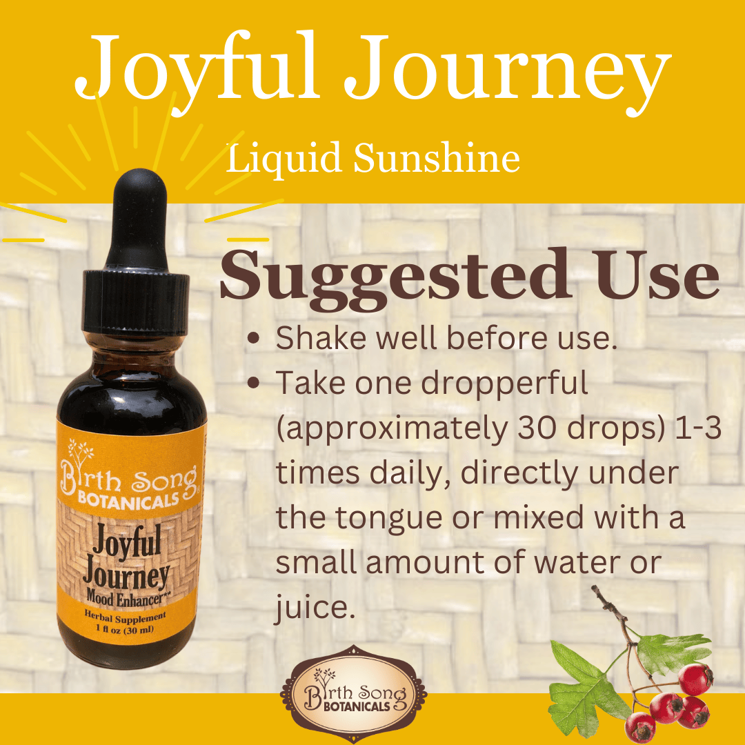 Birth Song Botanicals Co. Tinctures Joyful Journey Herbal Tincture – Botanical Blend with St. John’s Wort, Hawthorn & Lemon Balm (1 oz)
