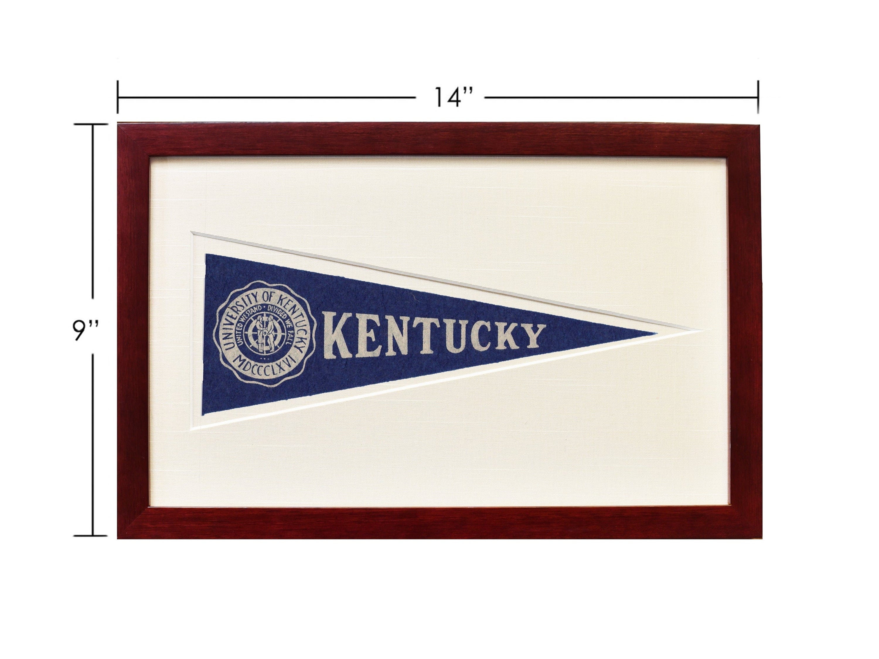 Americana Memories Vintage University of Kentucky Hormel Pennant
