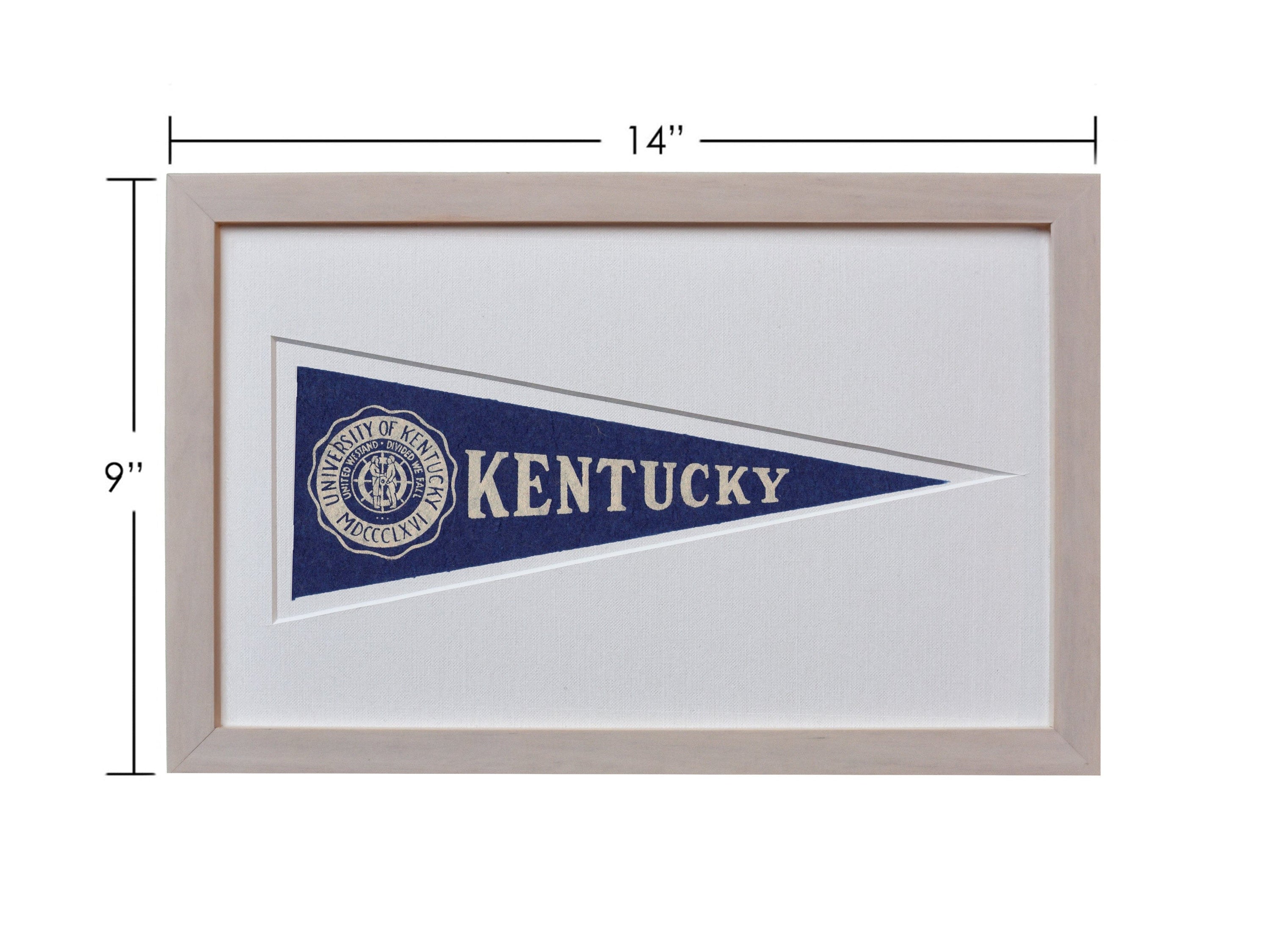 Americana Memories Vintage University of Kentucky Hormel Pennant