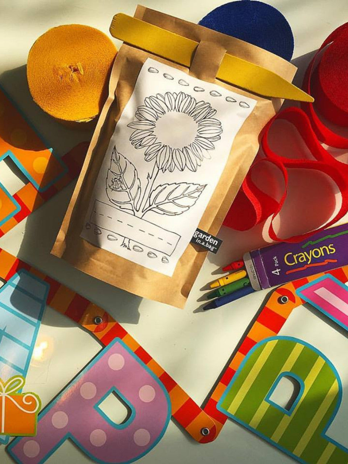 Garden in a Bag - Kids - My American Goods