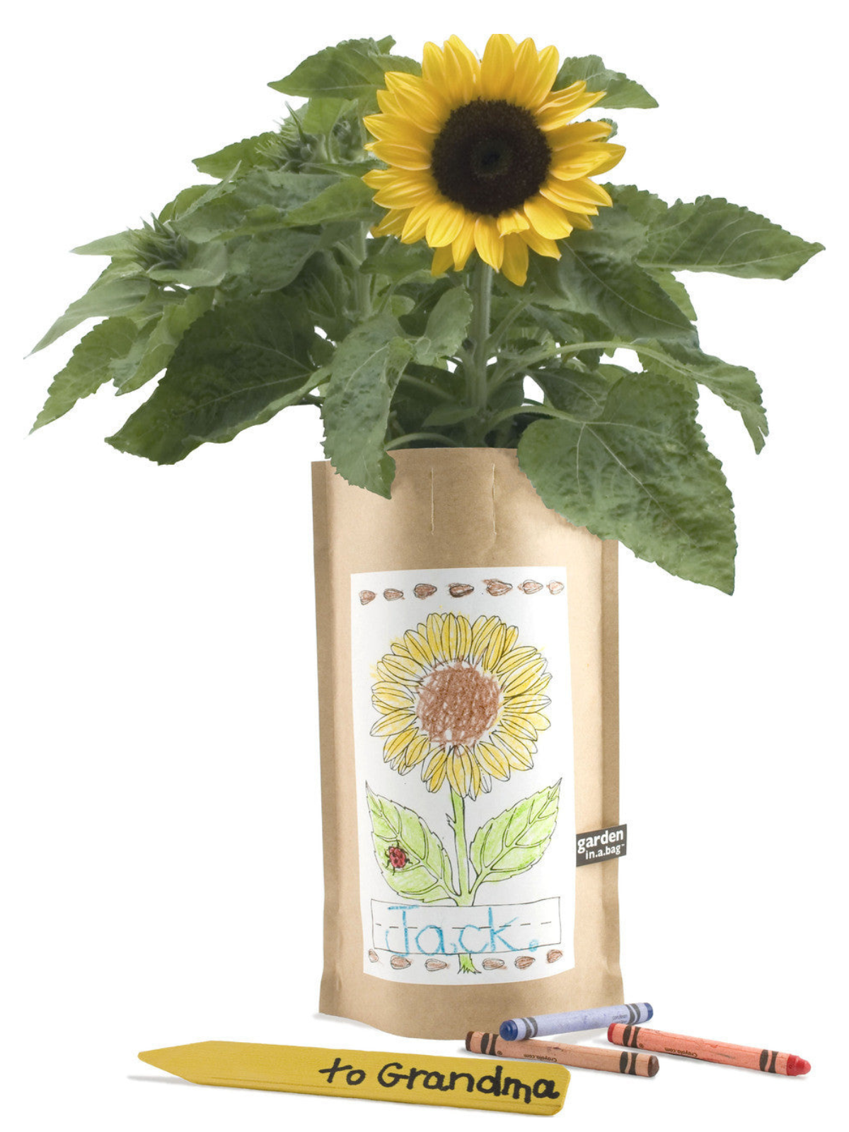 Garden in a Bag - Kids - My American Goods