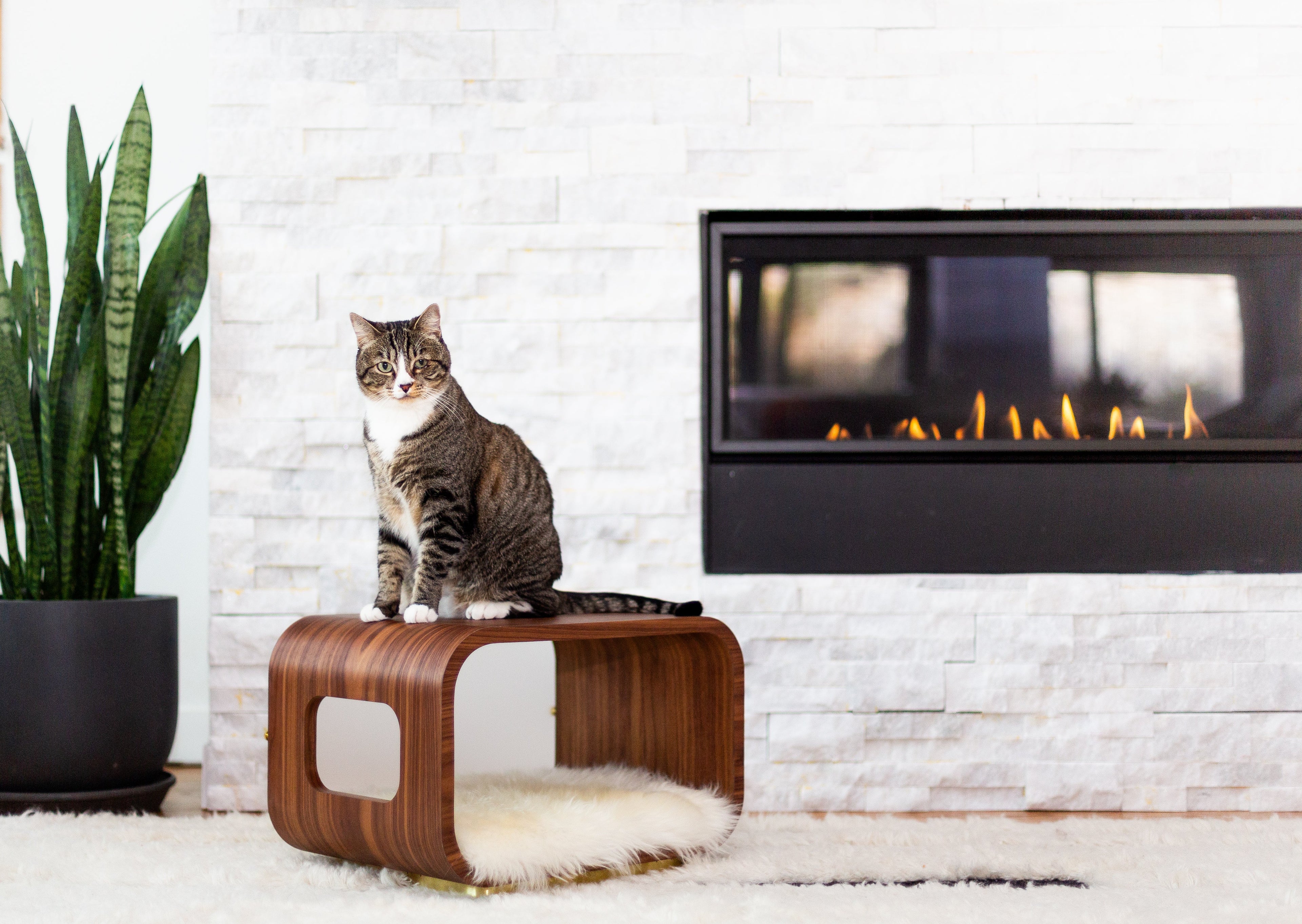 The LUNA Bed in Walnut - My American Goods