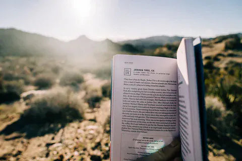 Joshua Tree National Park - My American Goods