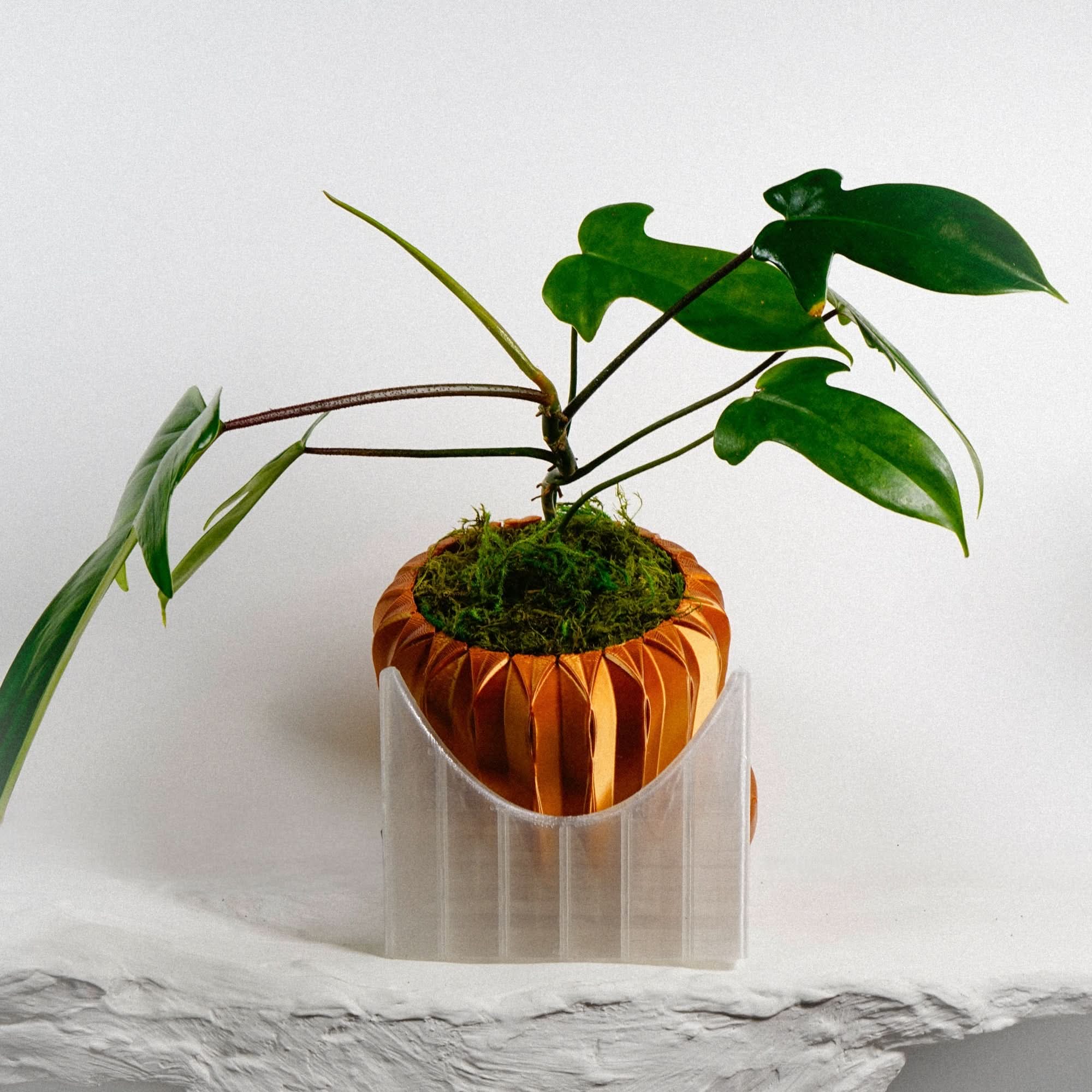 Rosebud HomeGoods Leaf Leaner Plant Riser