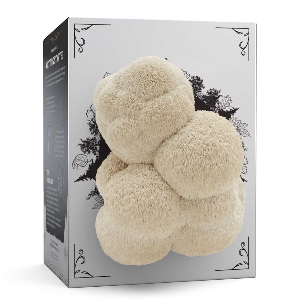 Hodgins Harvest Mushroom Growing Supplies Organic Lion&