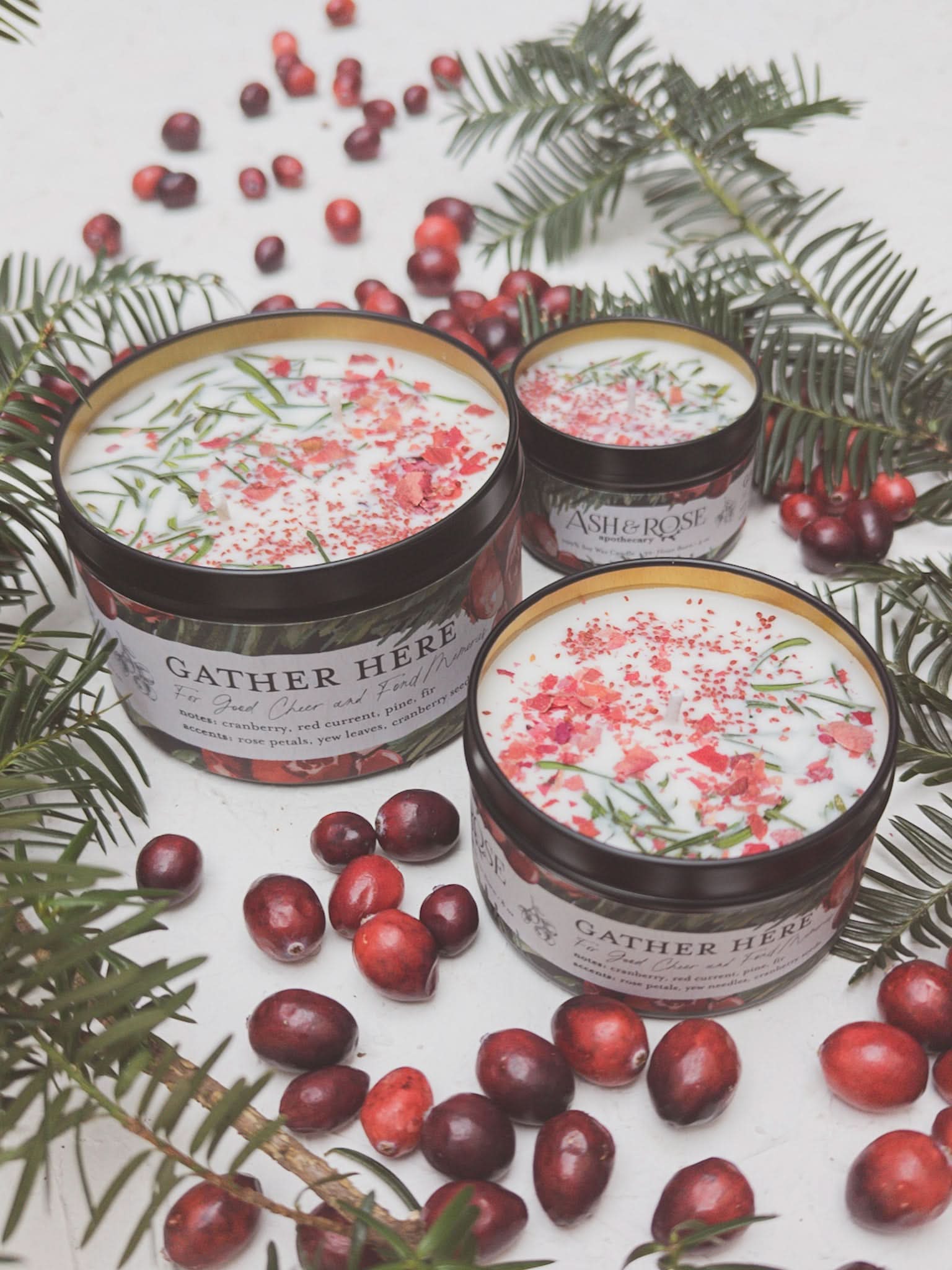 Ash & Rose candle GATHER HERE Cranberry Pine Candle