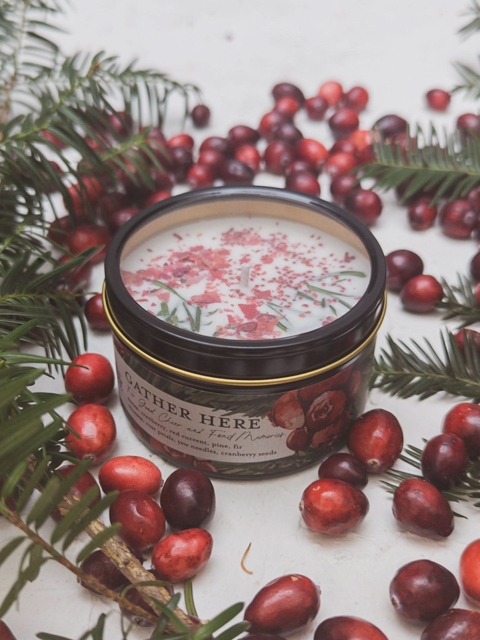 Ash & Rose candle 8 oz GATHER HERE Cranberry Pine Candle