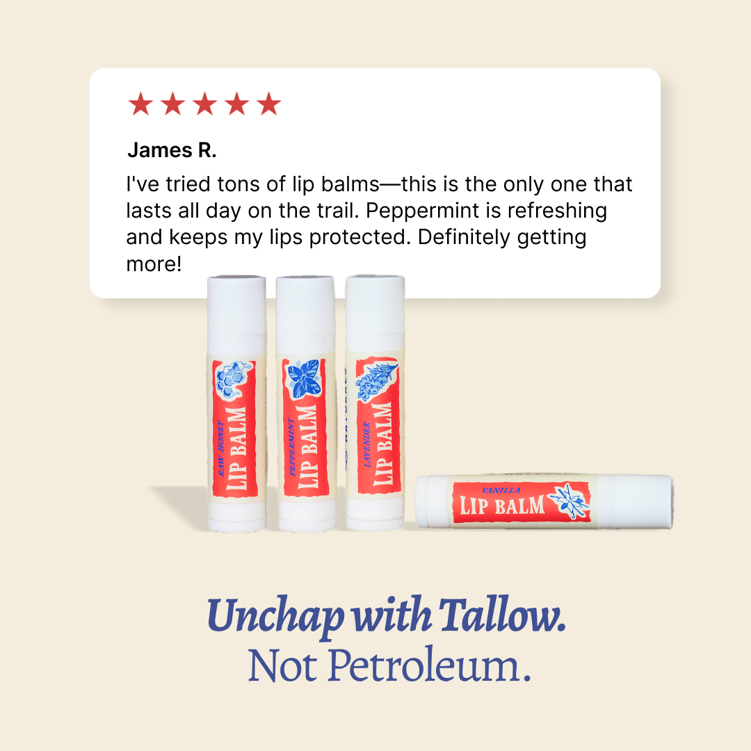 Papabear Tallow Lip Balm - My American Goods