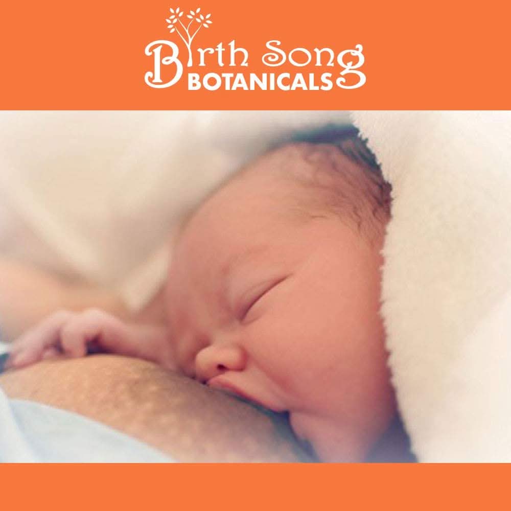 Birth Song Botanicals Co. Tinctures Default Let There Be Milk! 2 oz. ALCOHOL FREE Herbal Breastfeeding Supplement and Lactation Support, Breastmilk Supply Booster*