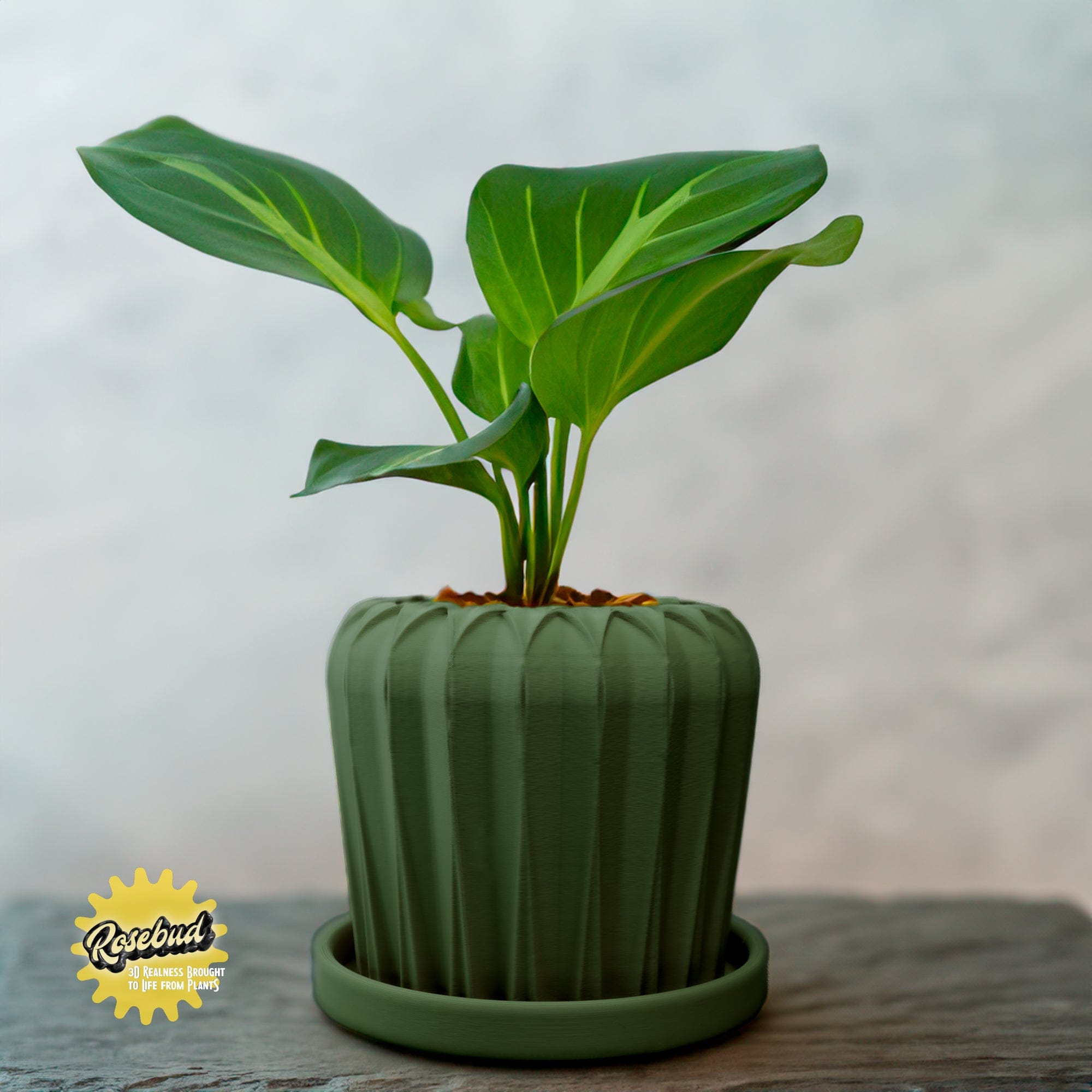 Rosebud HomeGoods Pots & Planters Green / 4 Inch - No Tray Lunar Bloom Plant Pot