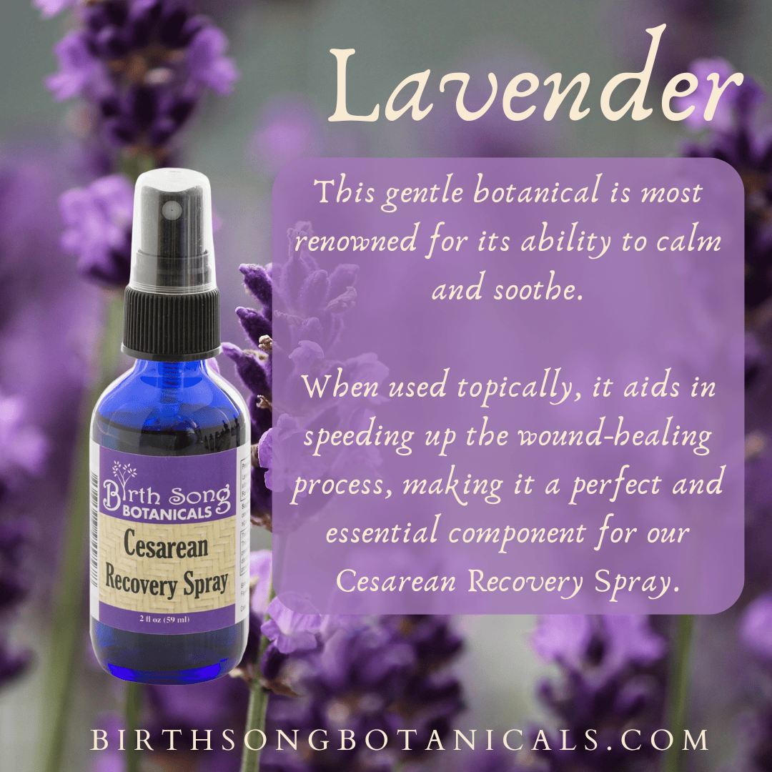 Herbal Cesarean Spray with Lavender, To Support Healthy Skin* 2 oz. - My American Goods
