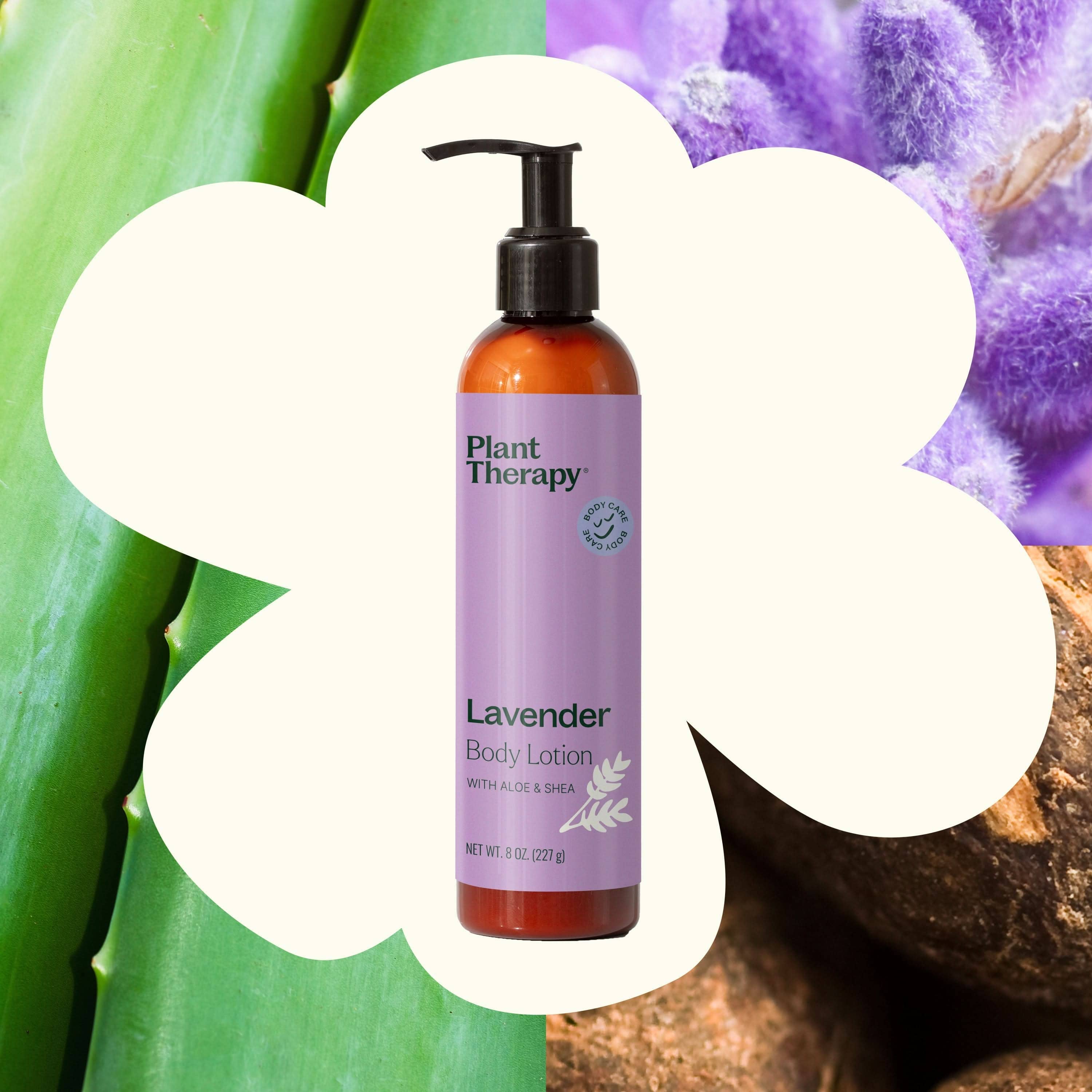 Plant Therapy Body Care 8 oz Lavender Body Lotion with Aloe and Shea