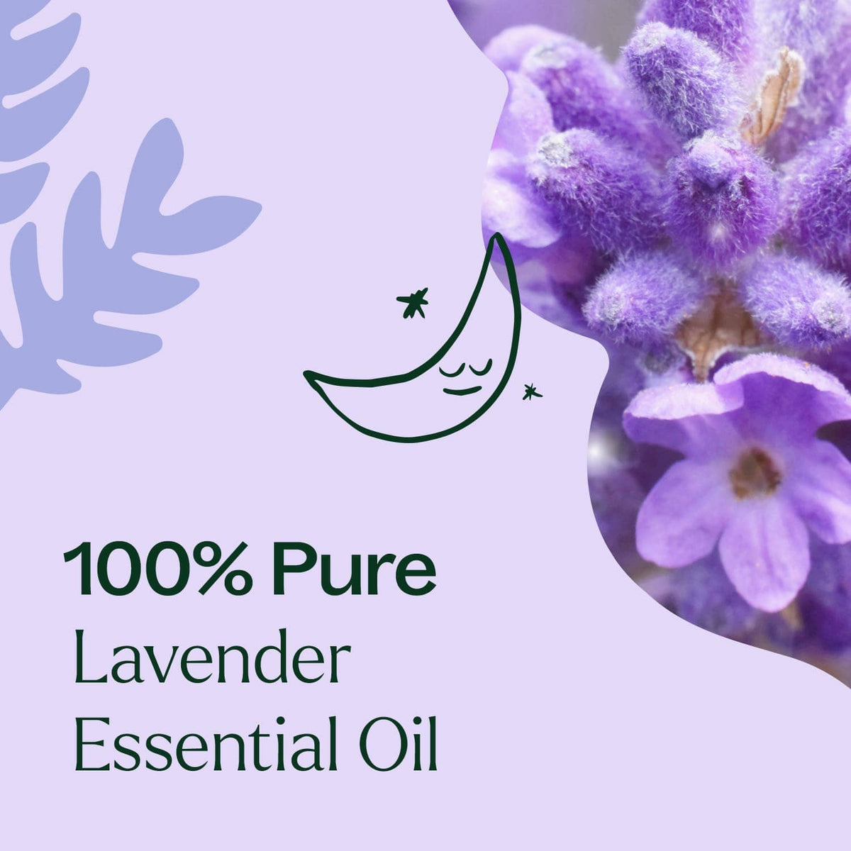 Plant Therapy Essential Oil Lavender Fine Essential Oil