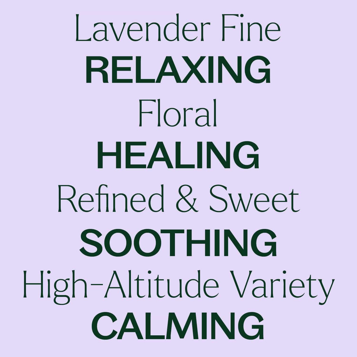 Plant Therapy Essential Oil Lavender Fine Essential Oil