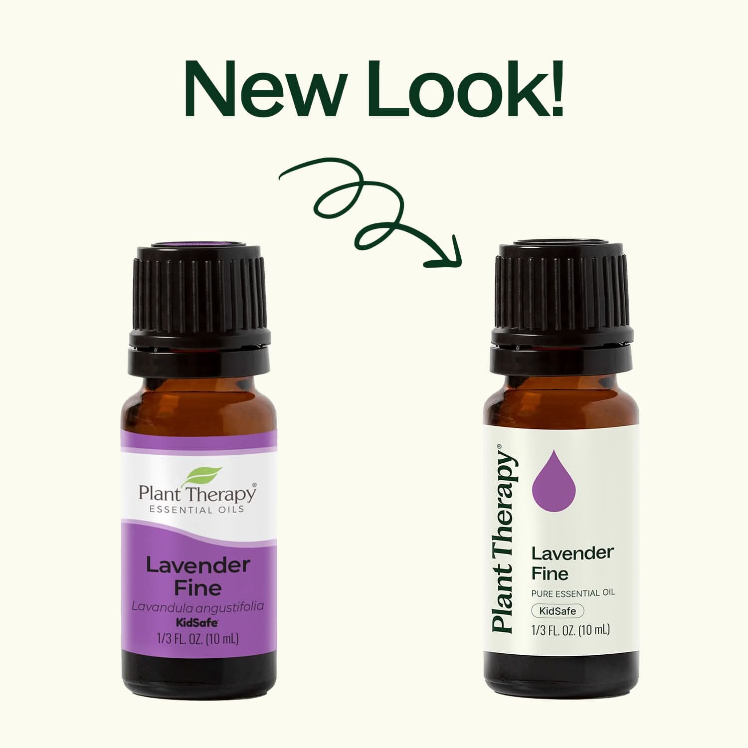 Lavender Fine Essential Oil - My American Goods
