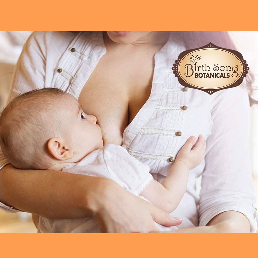 Birth Song Botanicals Co. Tinctures Default Let There Be Milk! Herbal Tincture – Alcohol-Free Botanical Blend (4 oz)