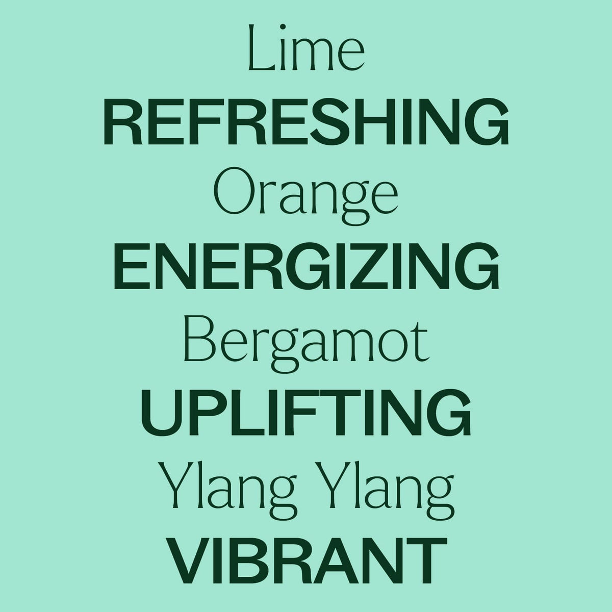 Lime Twist Essential Oil Blend