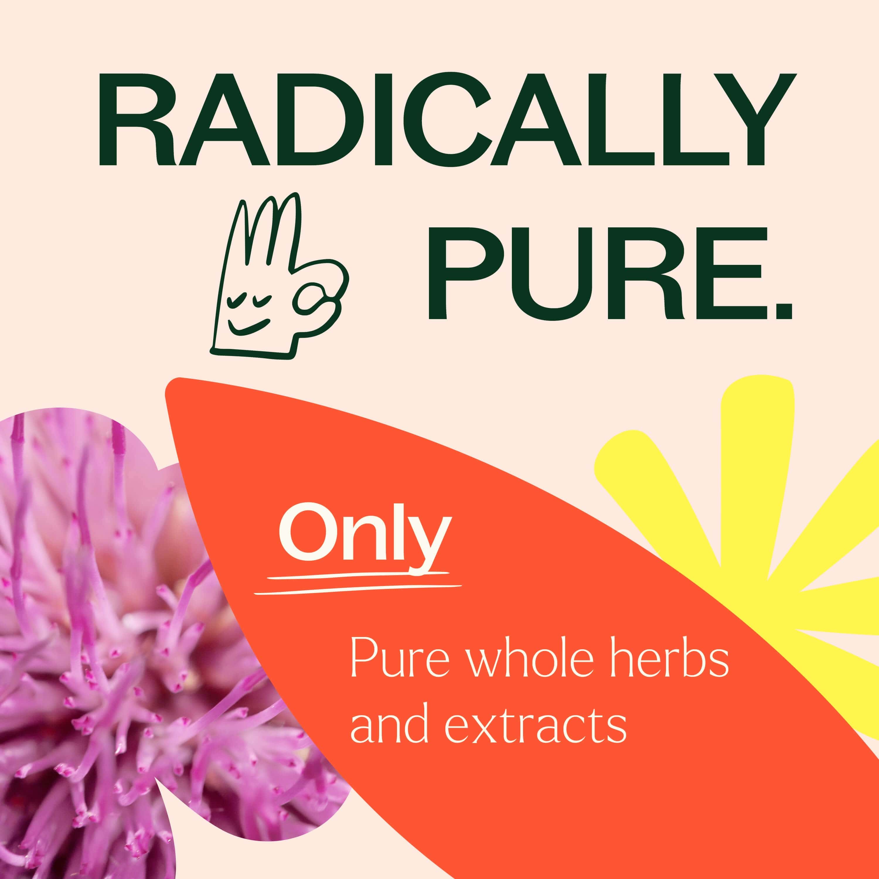 Liver Tonic – Herbal Blend - My American Goods