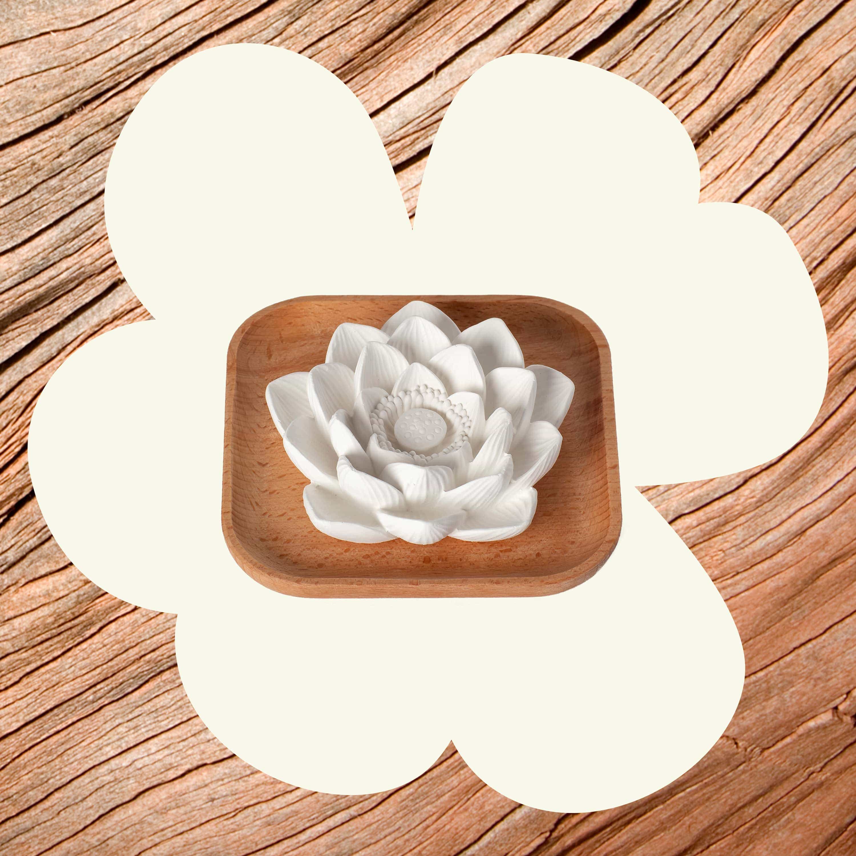 Passive Lotus Diffuser - My American Goods