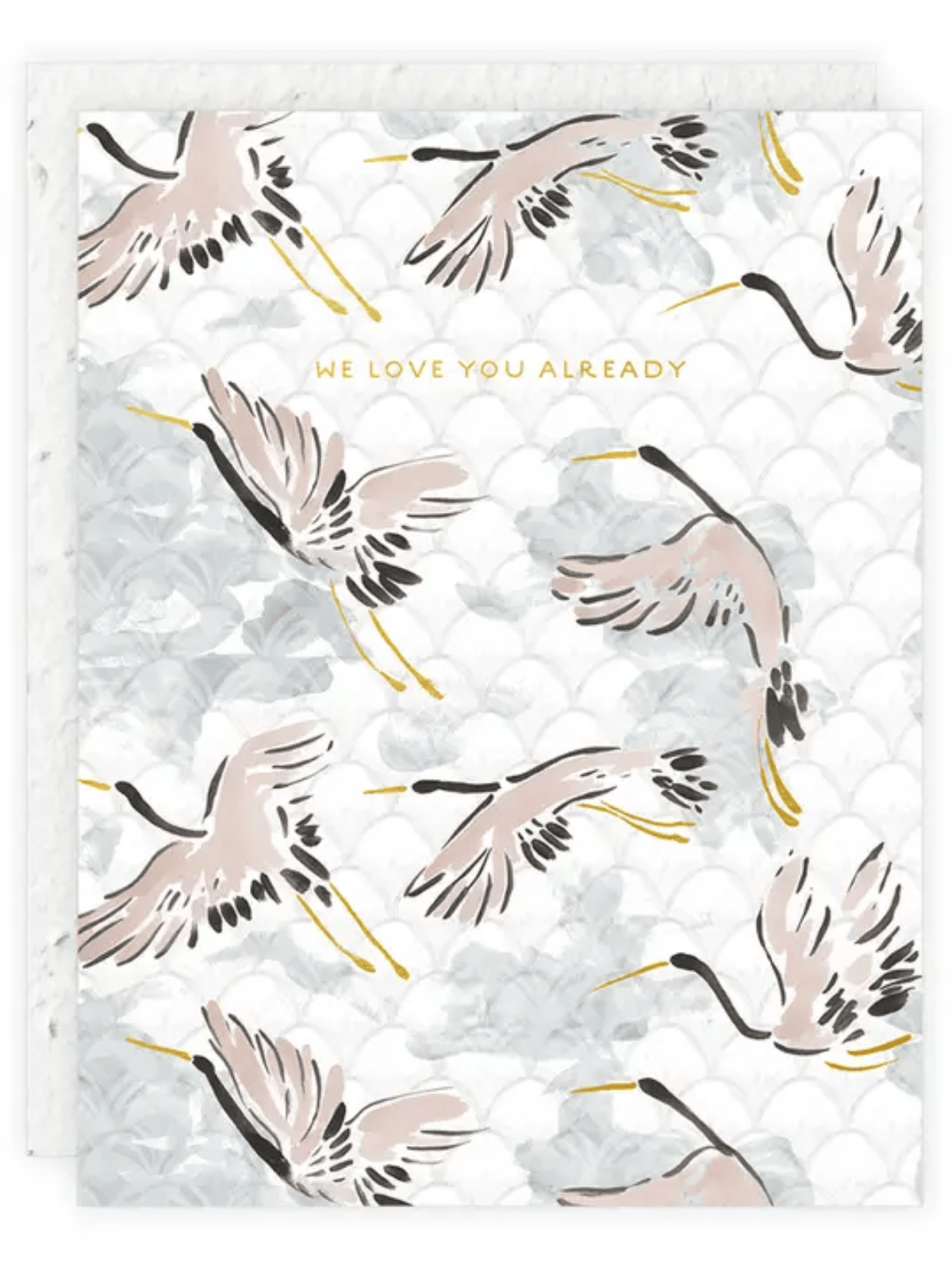 Ash & Rose Greeting & Note Cards Love You Already - Seeded Baby Congratulations Card