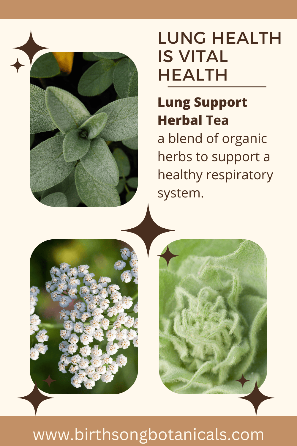 Birth Song Botanicals Co. Tea Herbal Tea for Bronchial Wellness and Clear Breathing* 3 oz.