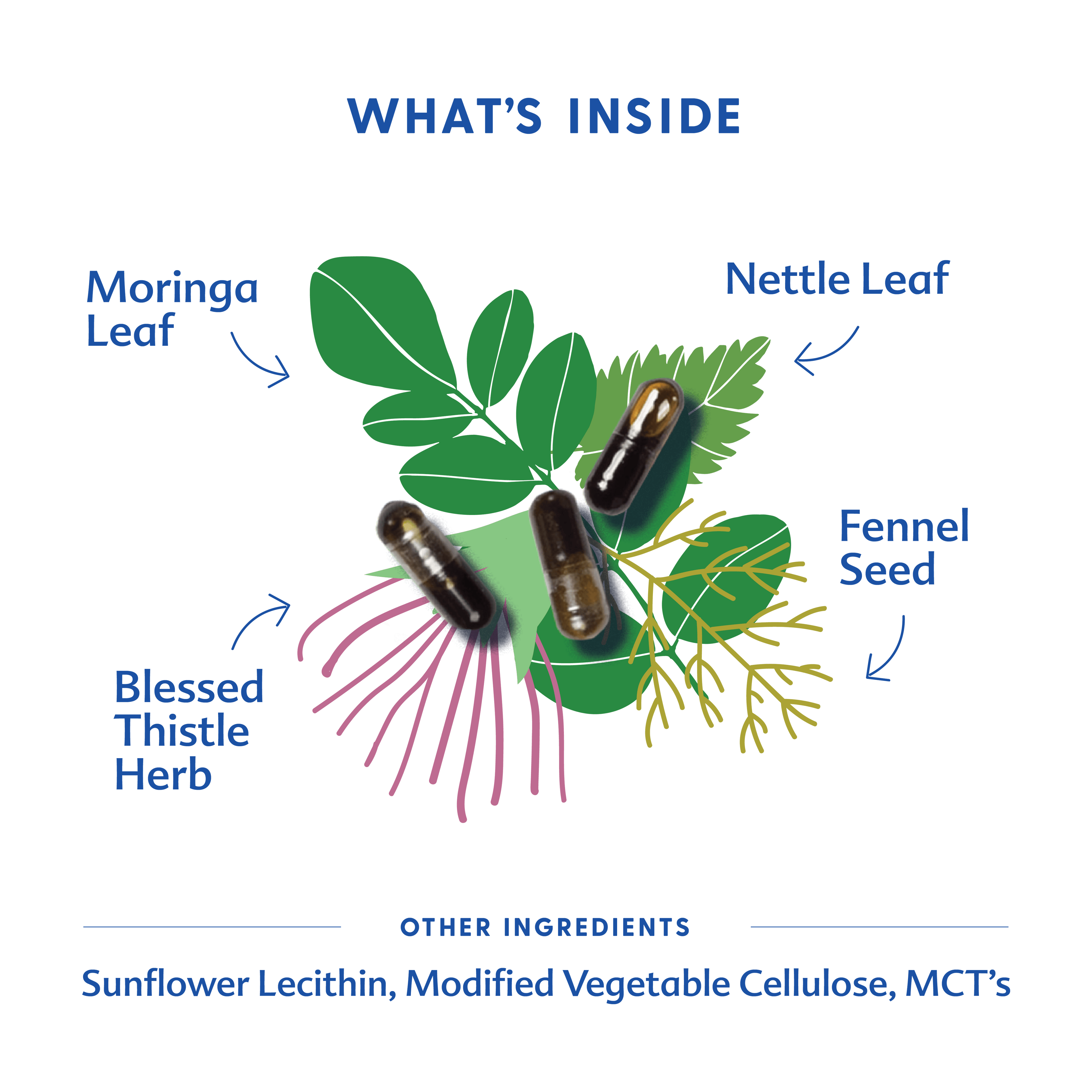 More Milk® Moringa - Liquid Capsules