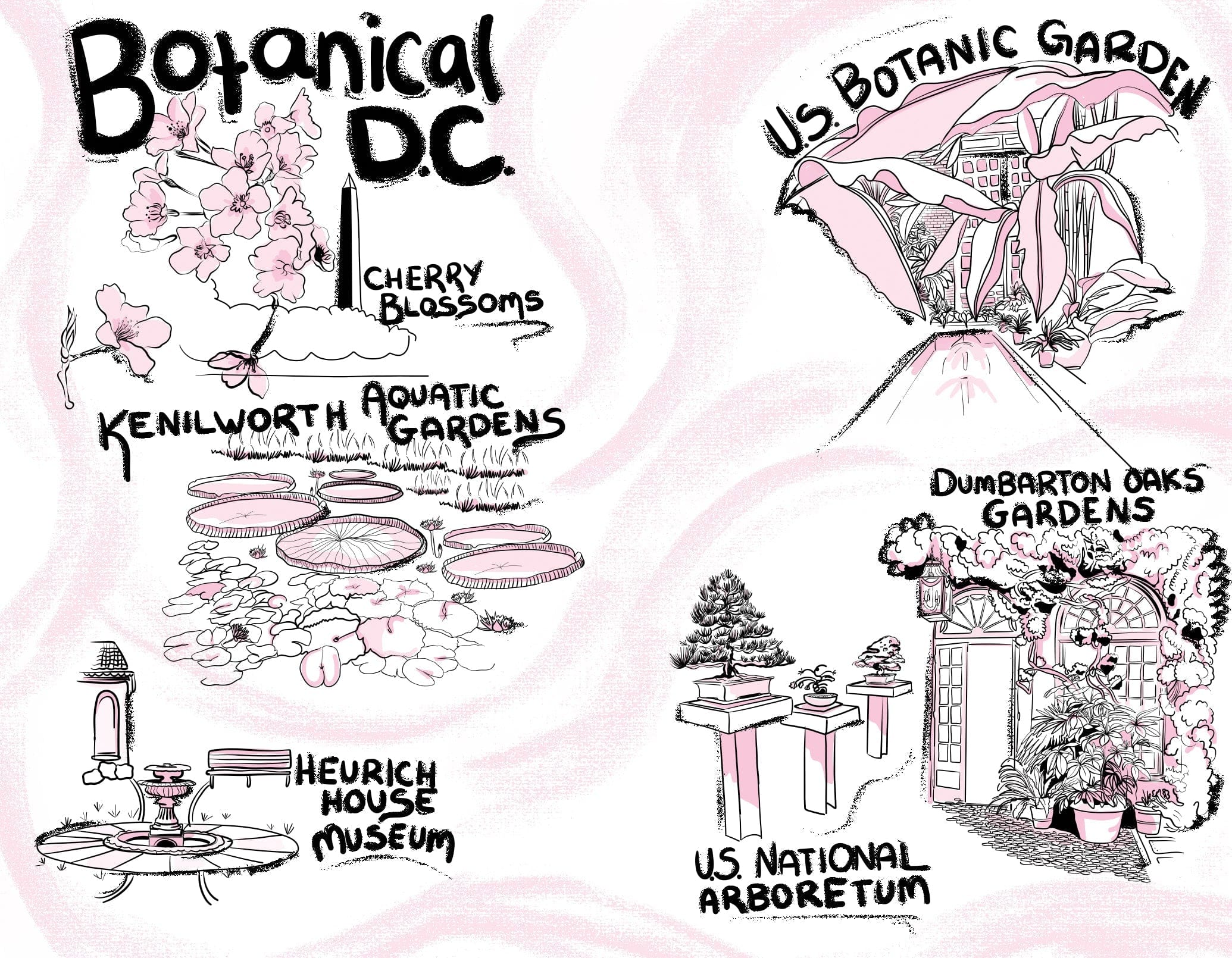 WASHINGTON, D.C. - My American Goods