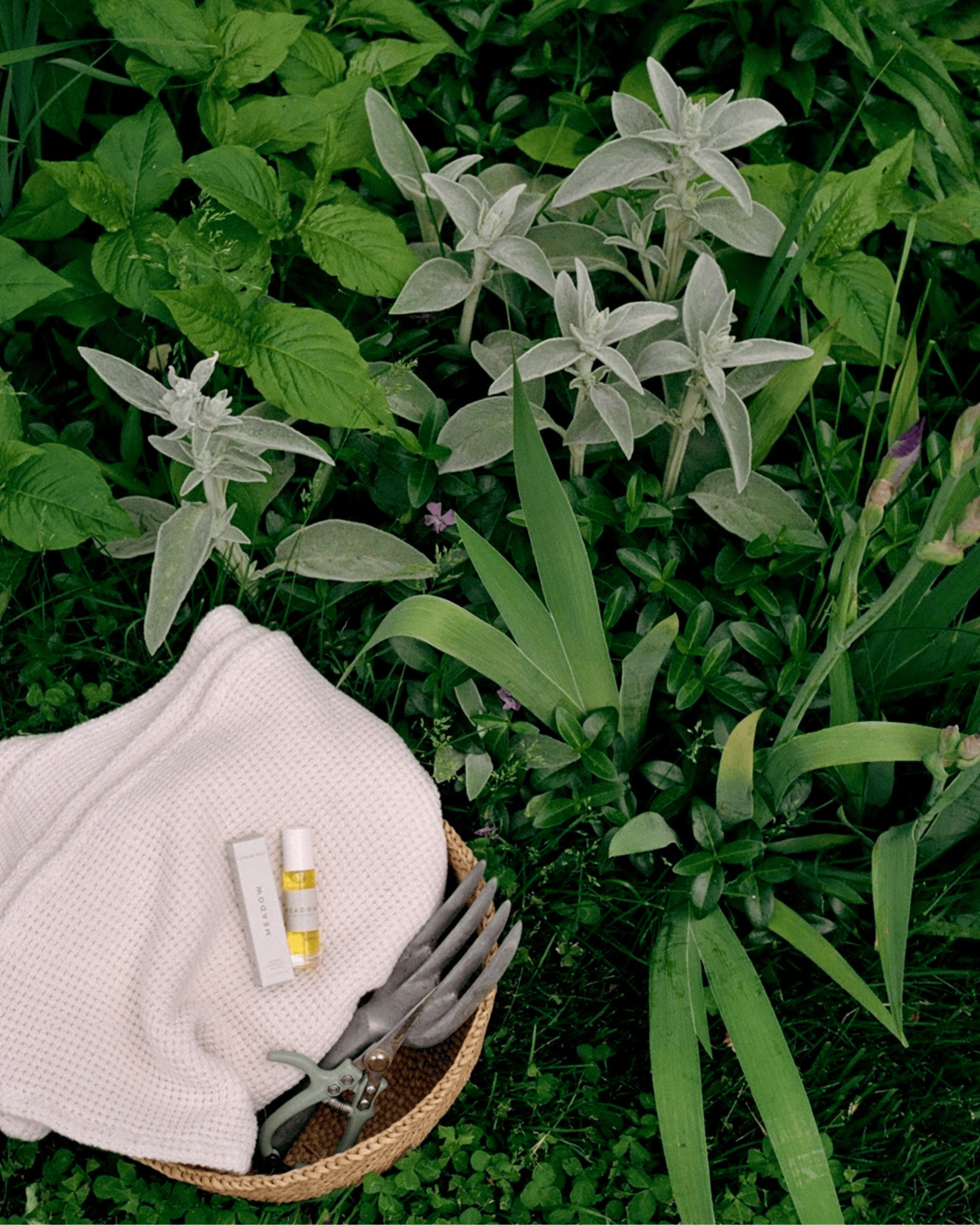 & Tread Well fragrance Natural Fragrance – Meadow