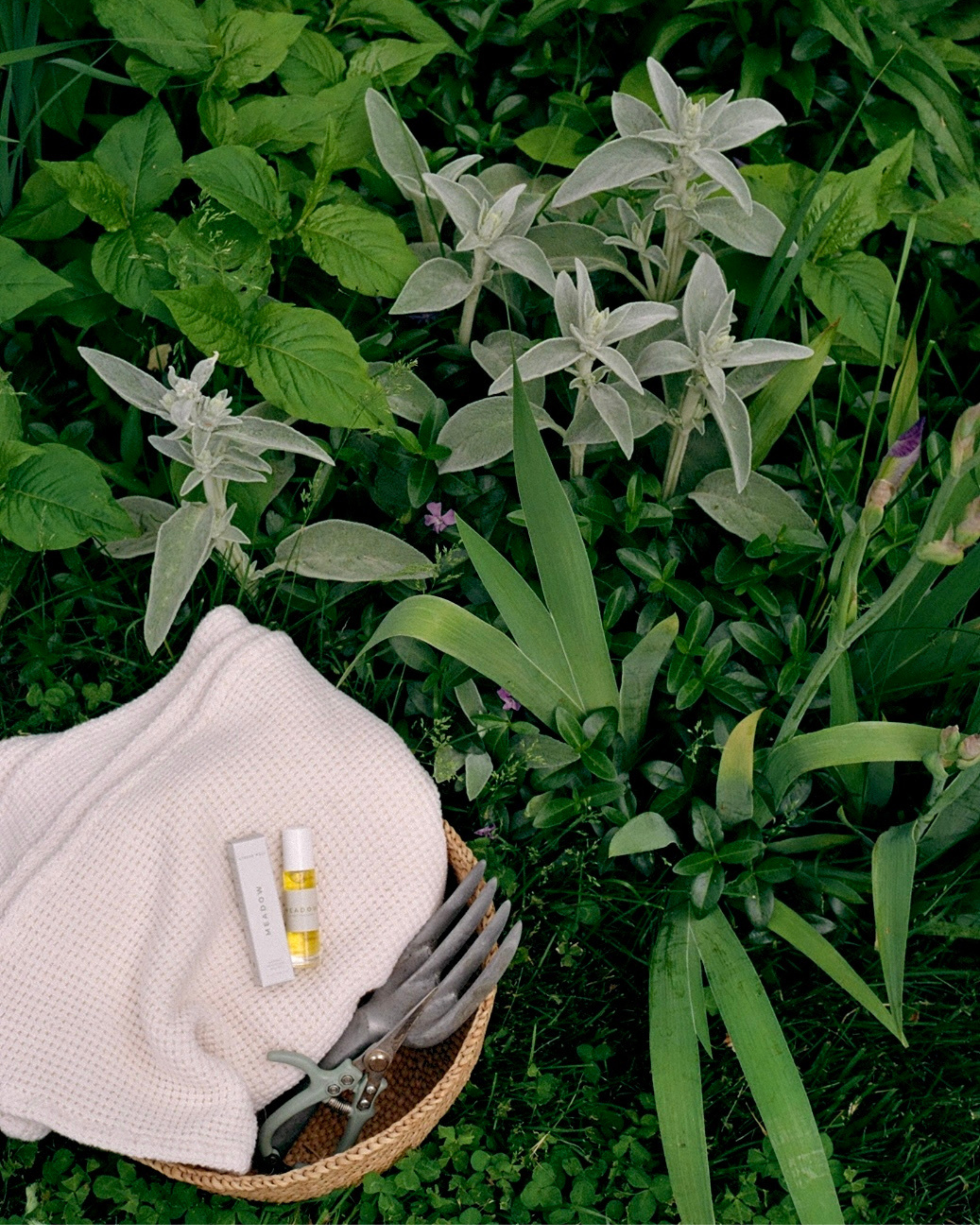 Natural Fragrance – Meadow