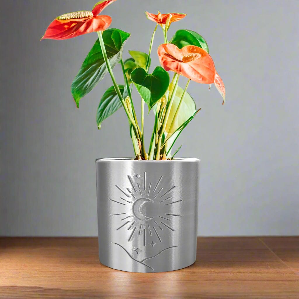 Rosebud HomeGoods Pots & Planters 4 inch diameter / Silver / Without Drip Tray Moon Planter