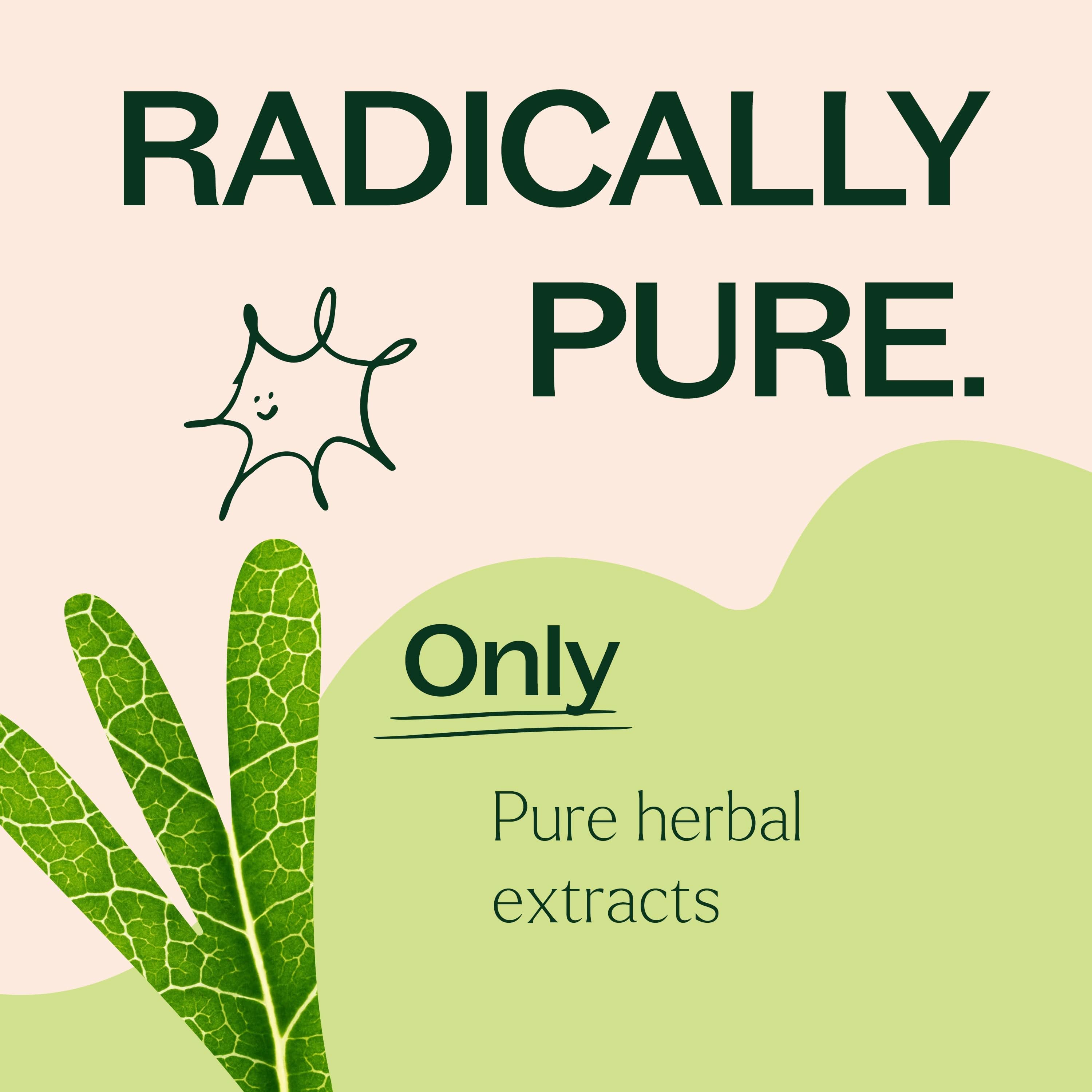 Moringa Capsules – Plant-Based Green Tradition - My American Goods