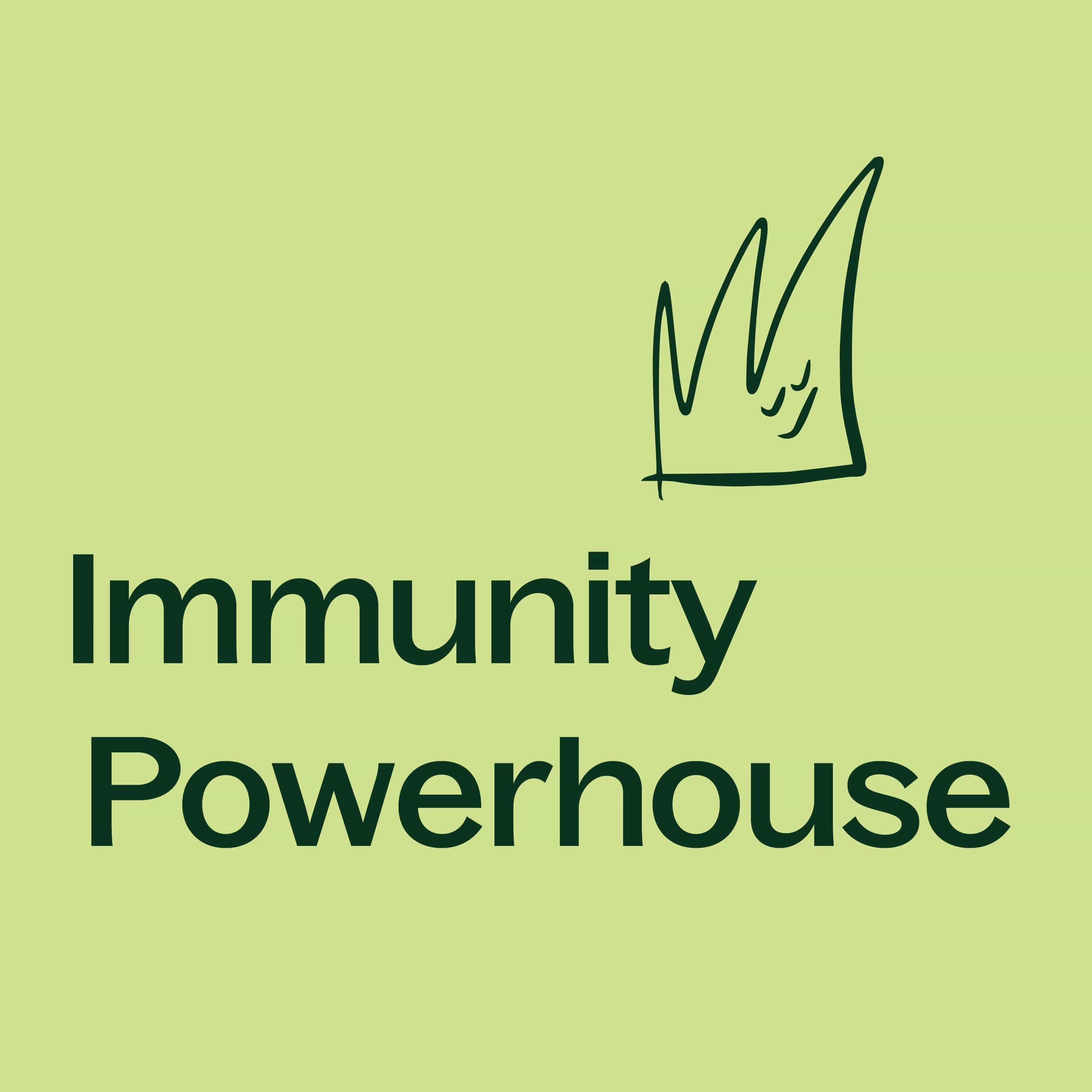 Moringa Capsules – Plant-Based Green Tradition - My American Goods