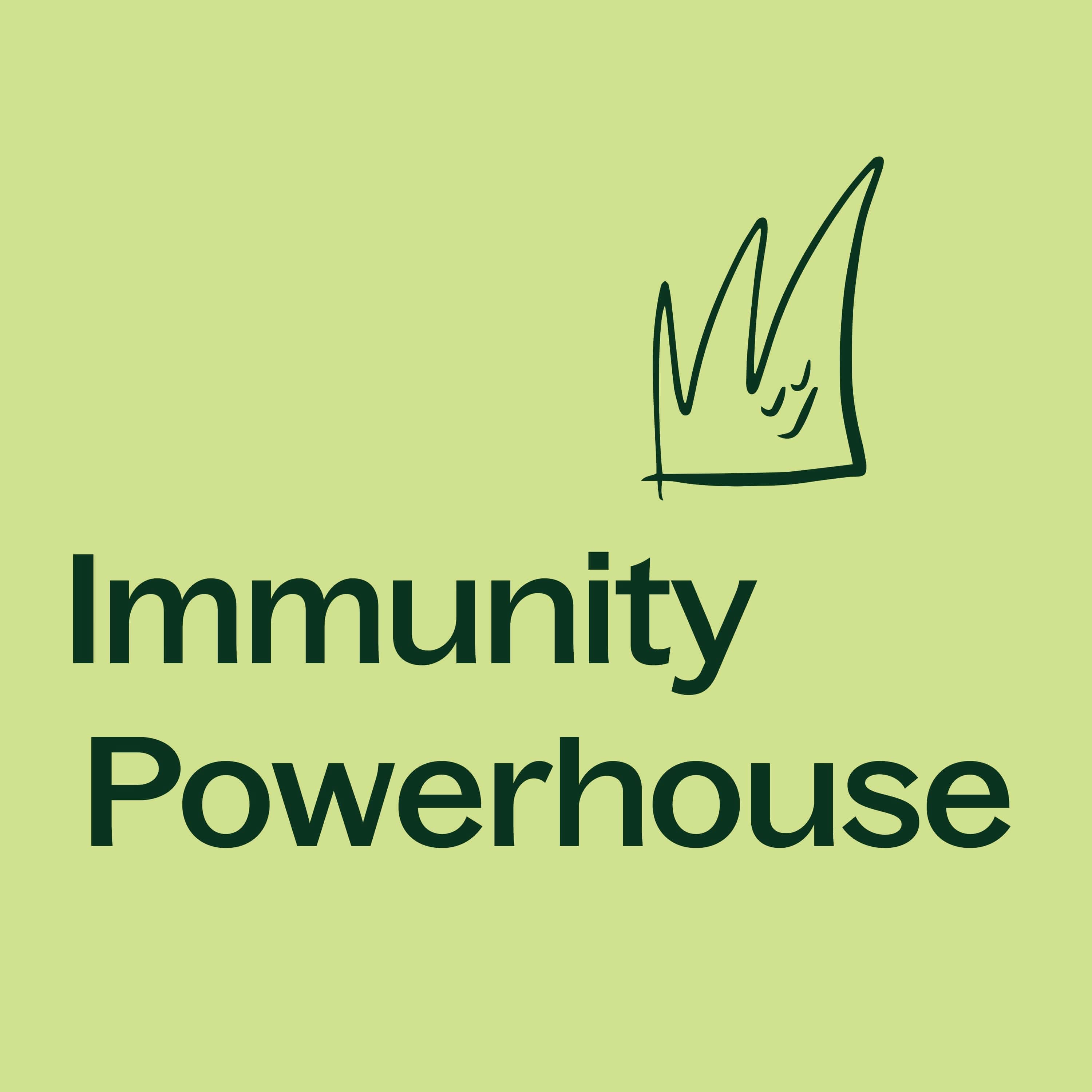 Moringa Capsules – Plant-Based Green Tradition - My American Goods