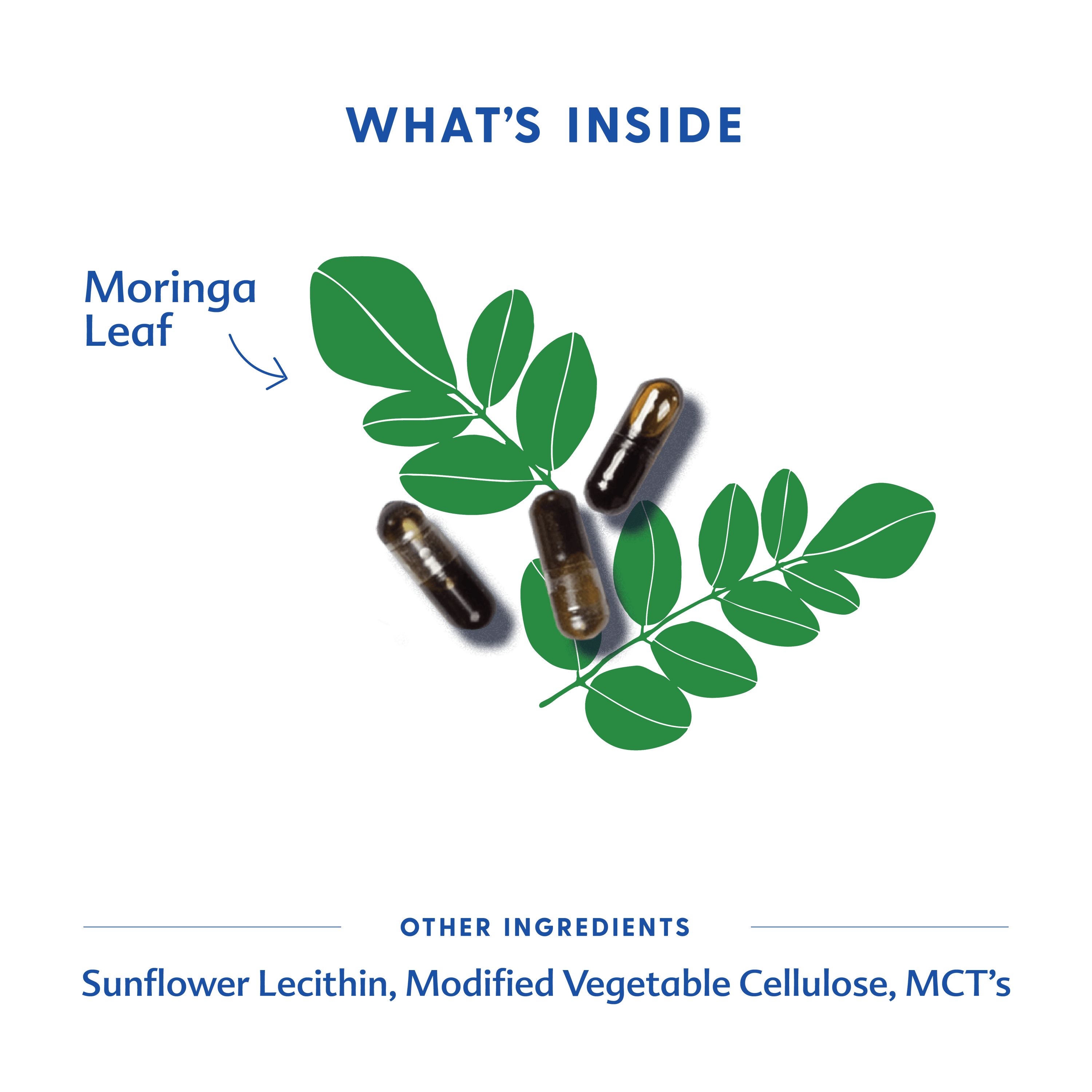 Motherlove Herbal Company Breastfeeding Moringa (Malunggay) - Liquid Capsules