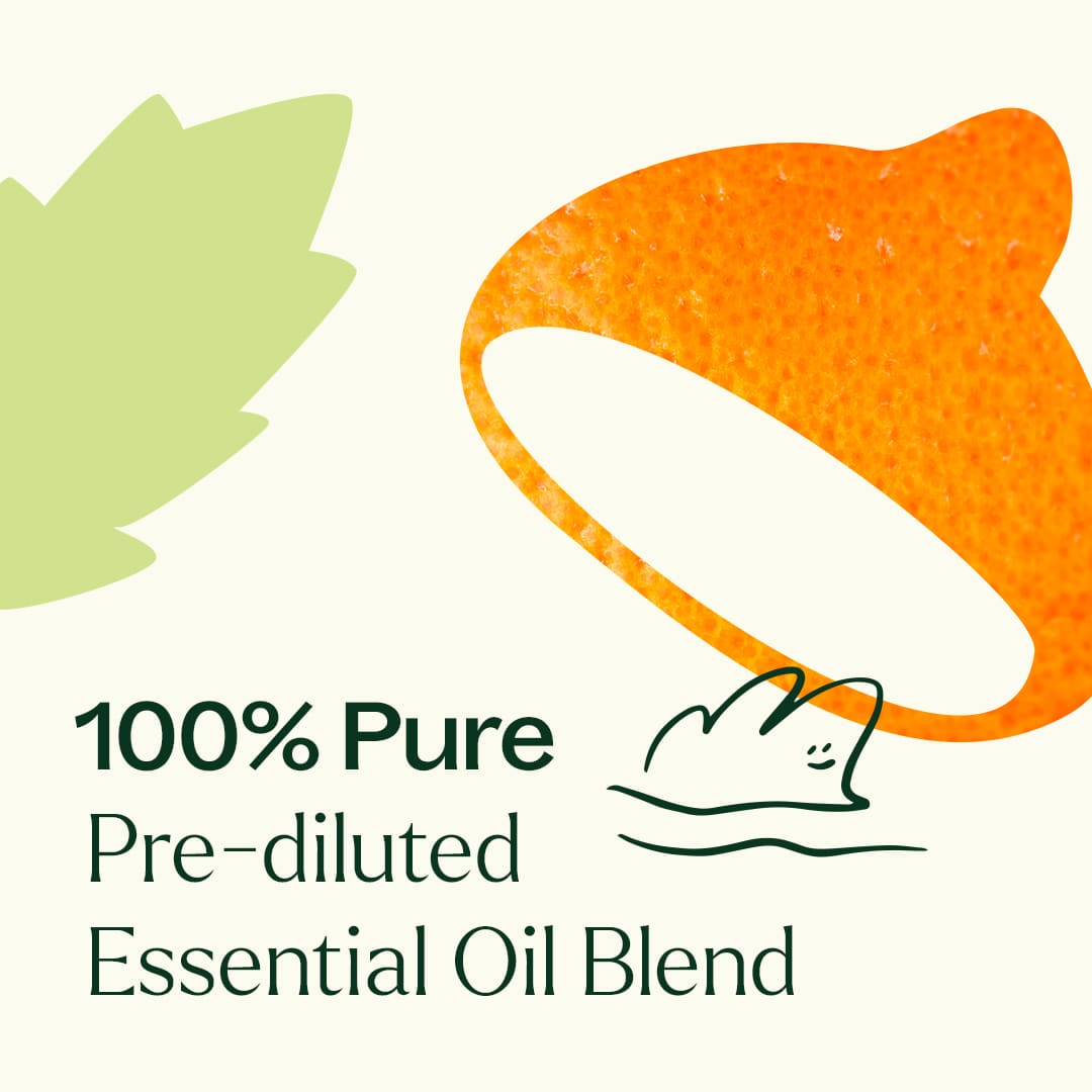 Plant Therapy Essential Oil 10 ml Motion Sickness Essential Oil Blend Pre-Diluted Roll-On