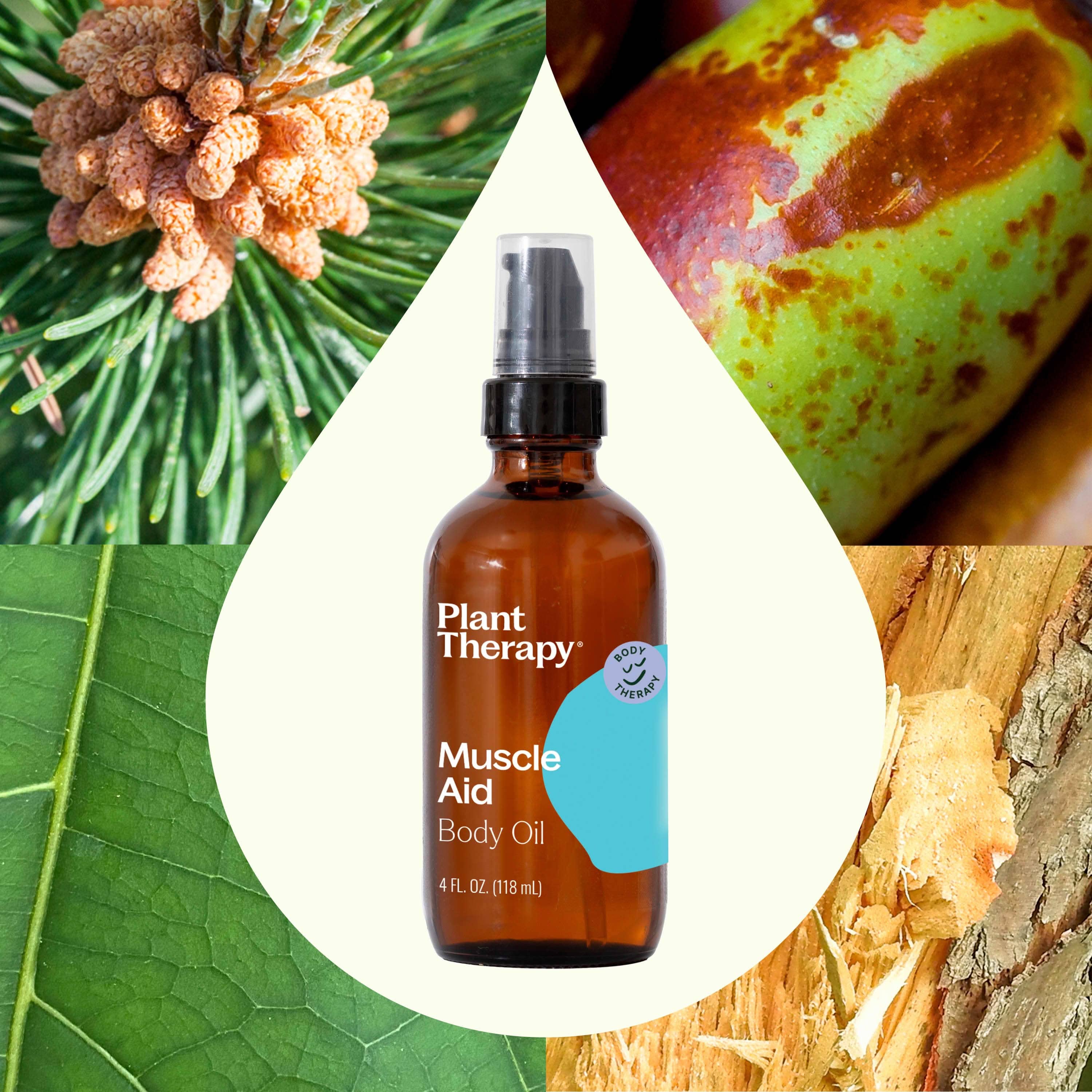 Plant Therapy Body Care 4 oz Muscle Aid Body Oil