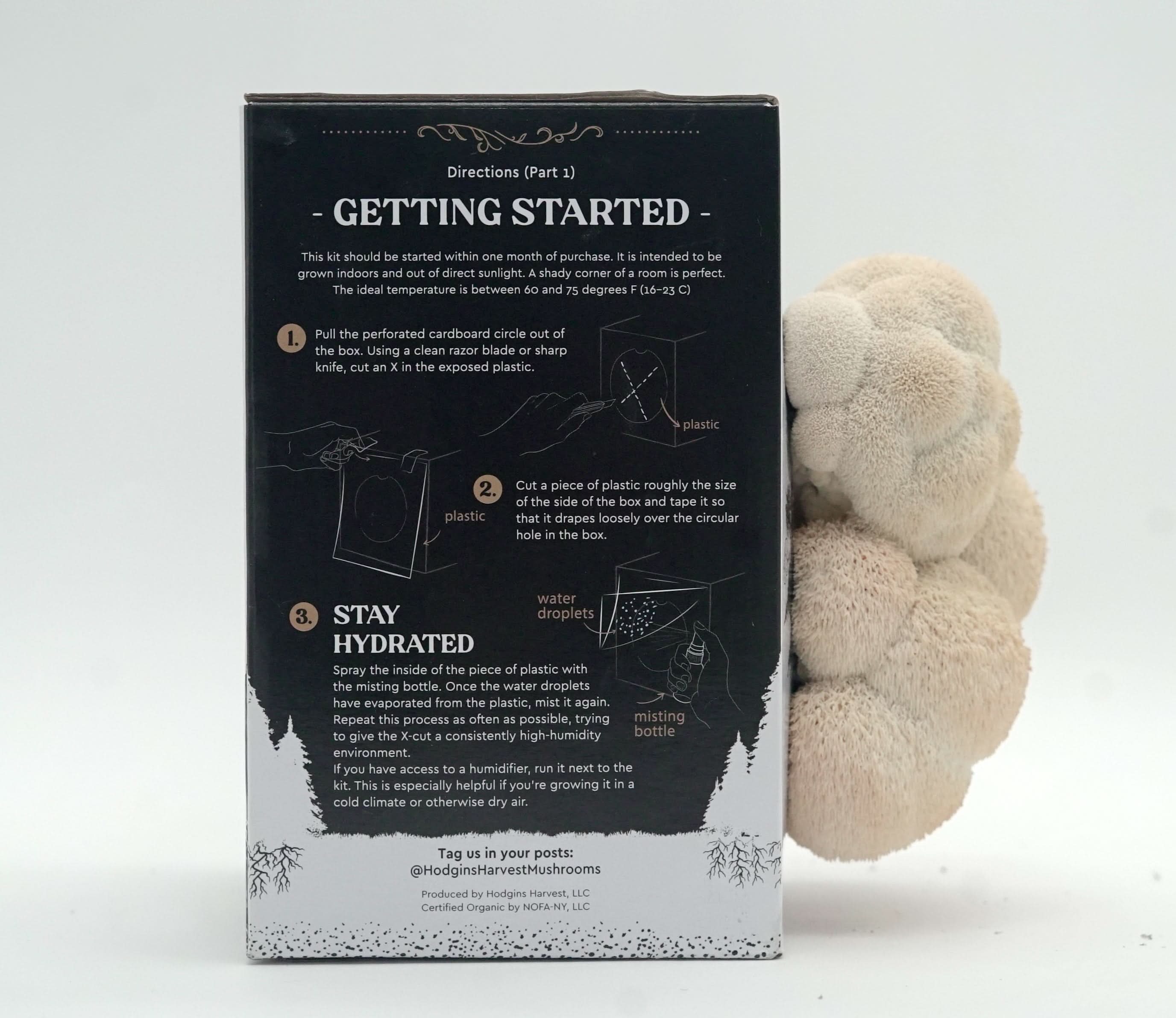 Hodgins Harvest Mushroom Growing Supplies Organic Lion&