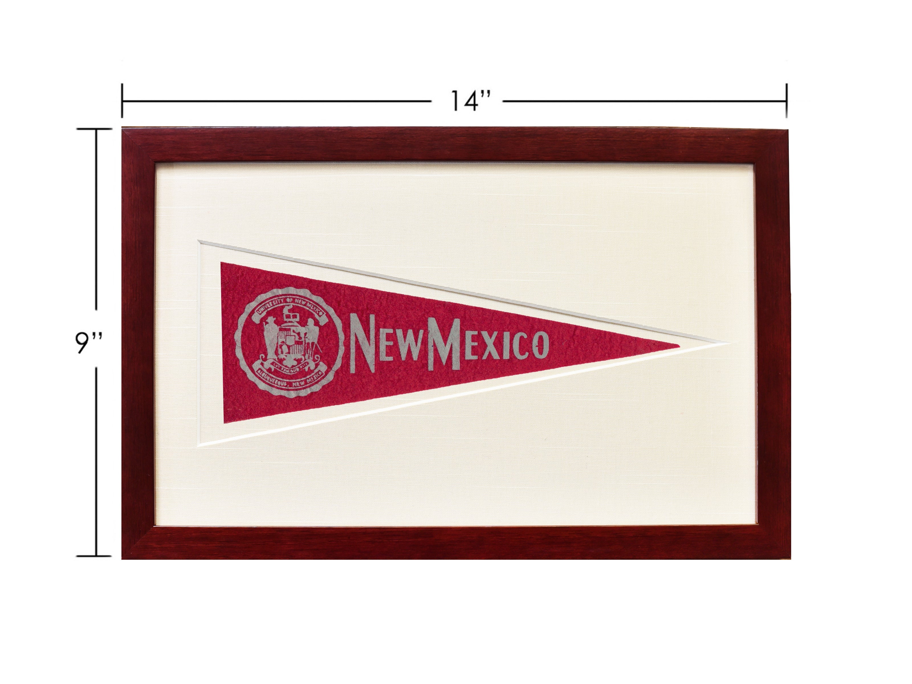 Vintage University of New Mexico Hormel Pennant