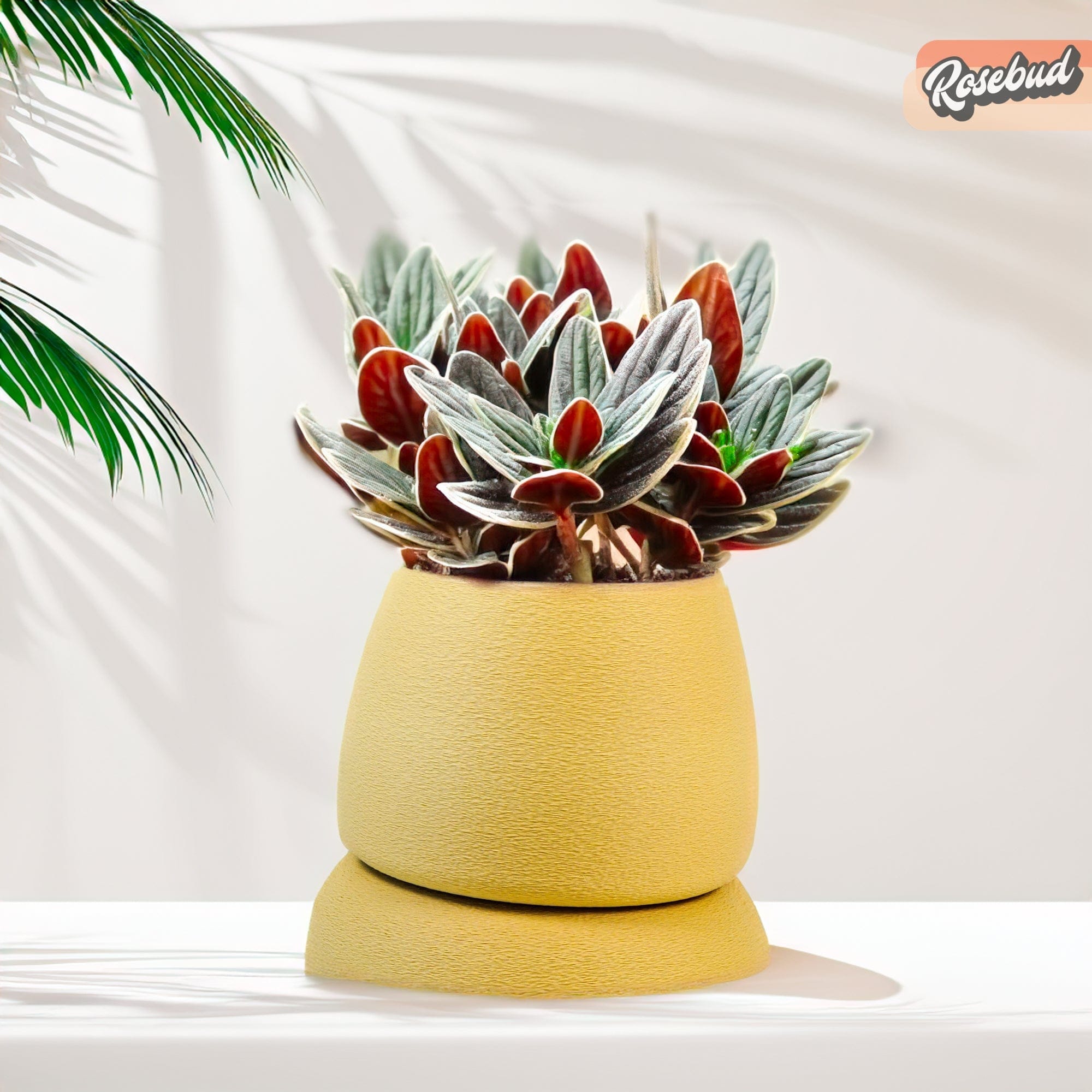 Rosebud HomeGoods Pots & Planters Nubium Planter