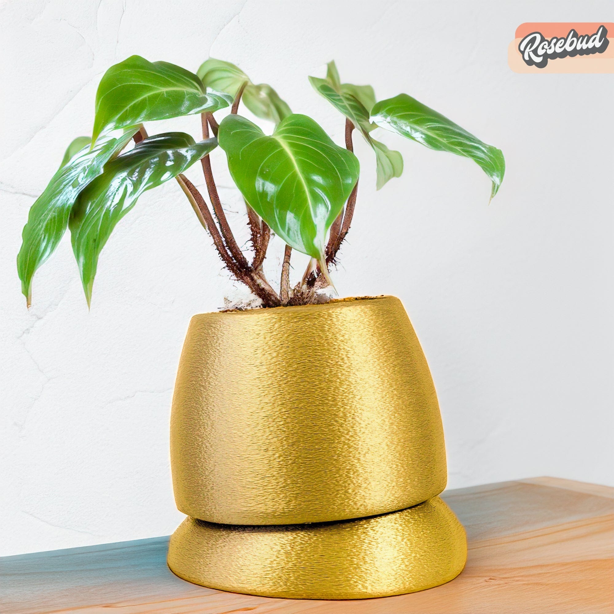 Rosebud HomeGoods Pots & Planters Gold / SMALL Nubium Planter